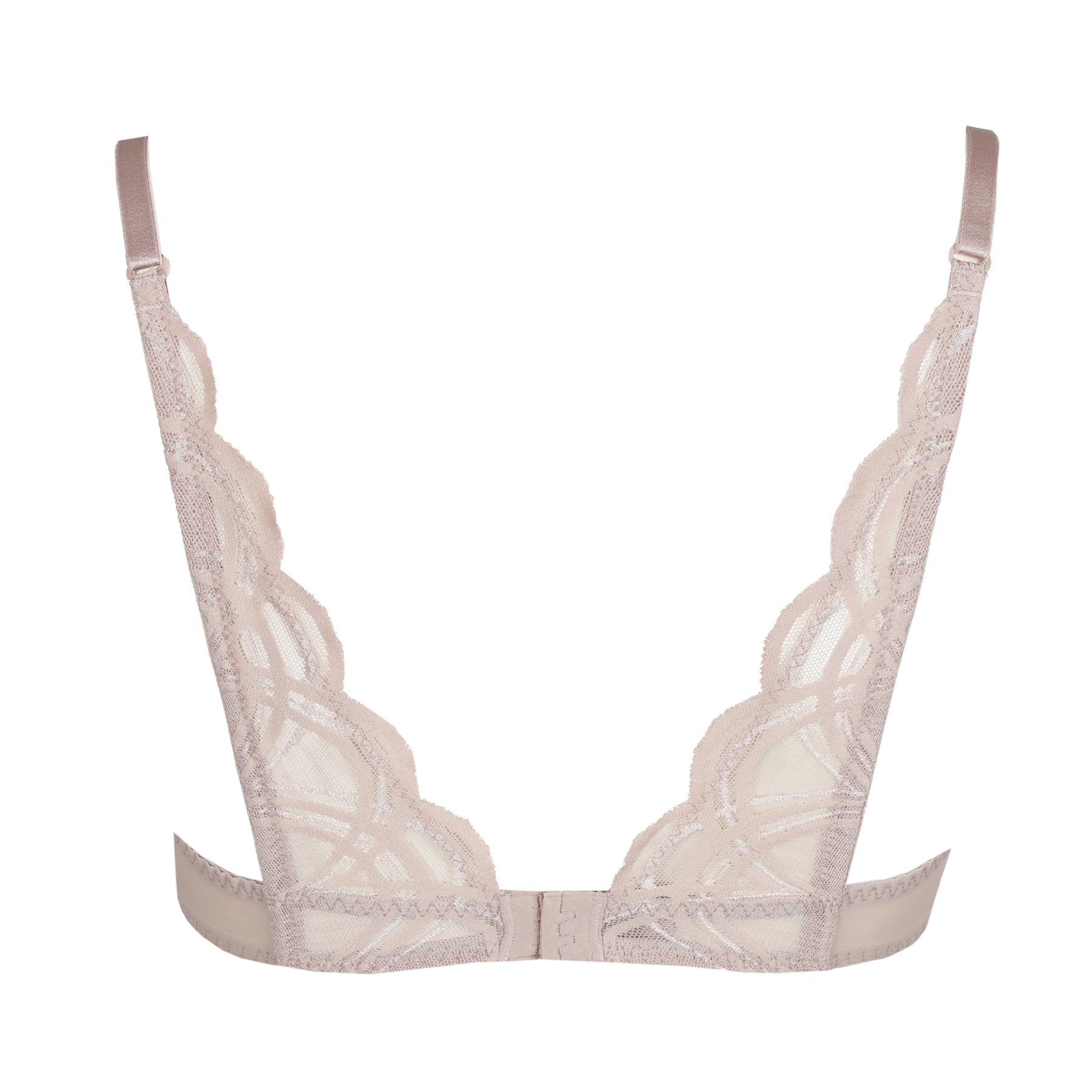 Back view of bois de rose bra featuring scalloped lace straps and sheer lace band