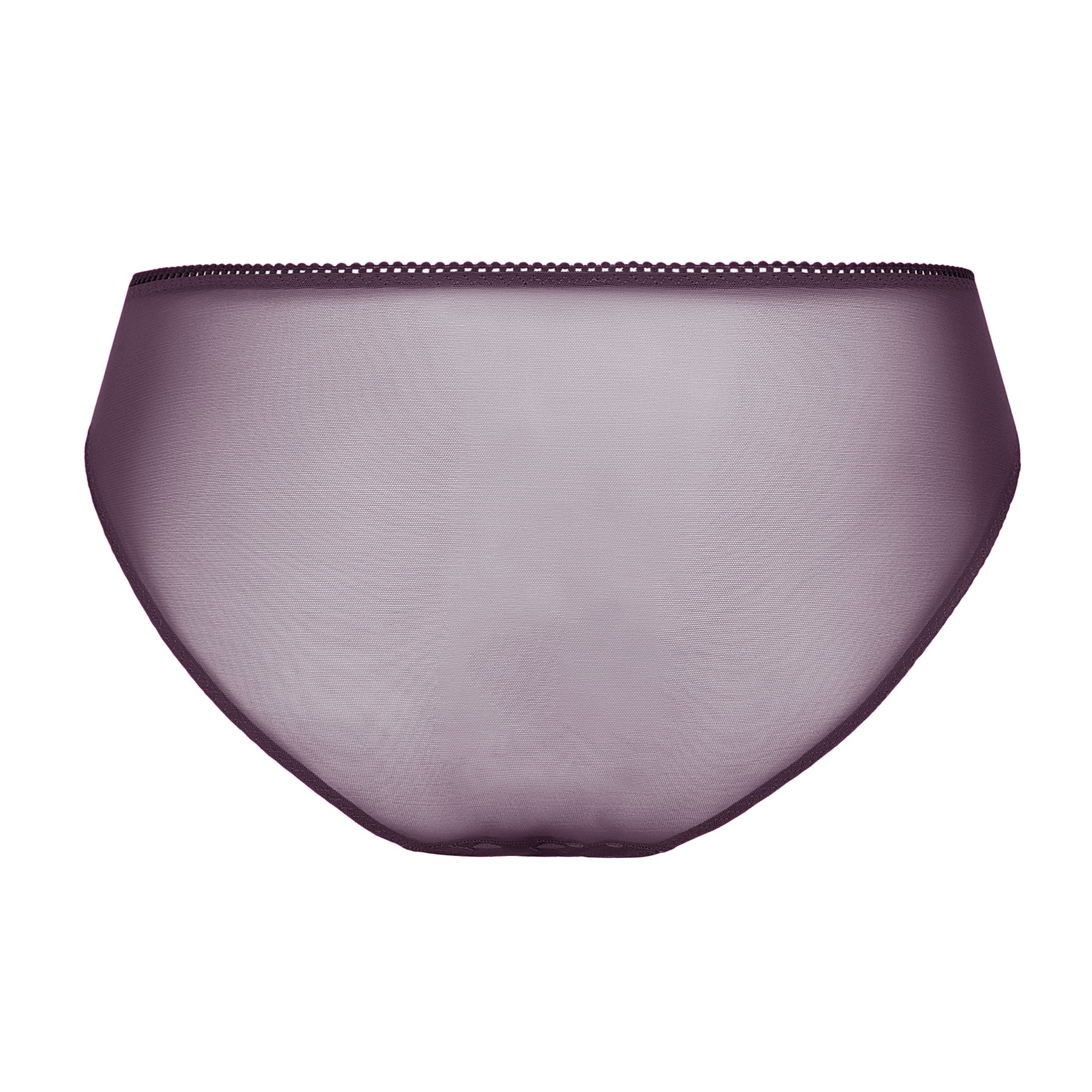 Back view of amethyst purple sheer panties with smooth mesh fabric and delicate trim.