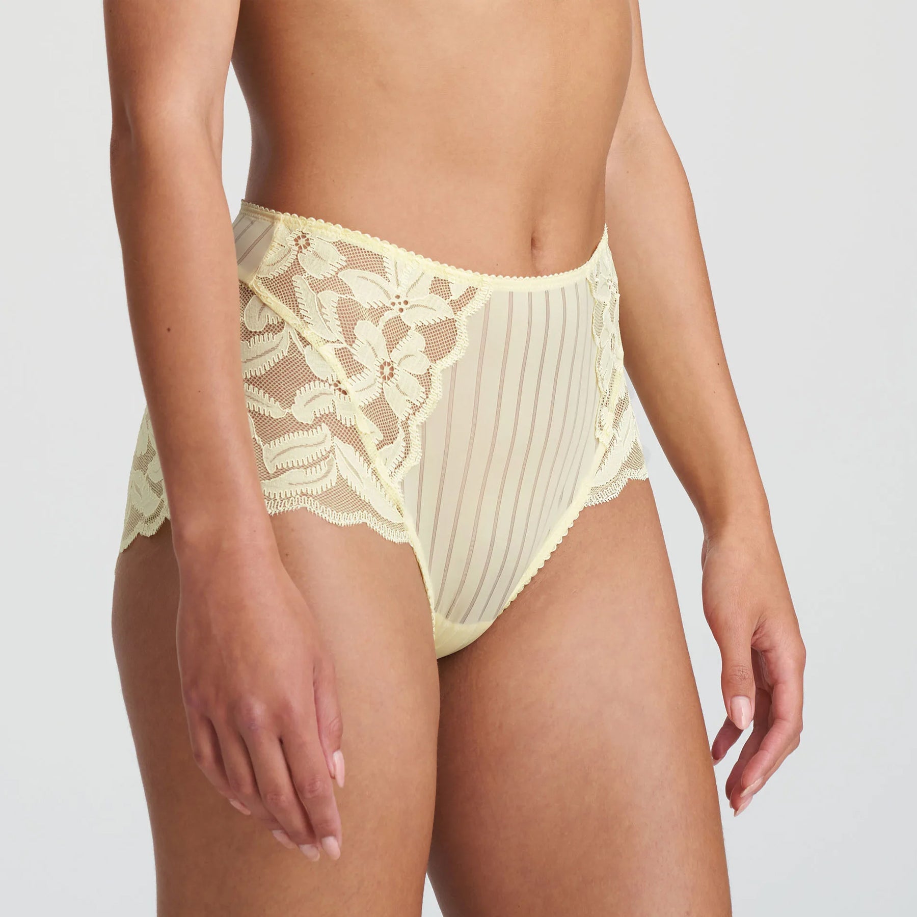 Marie Jo Ani Full Brief