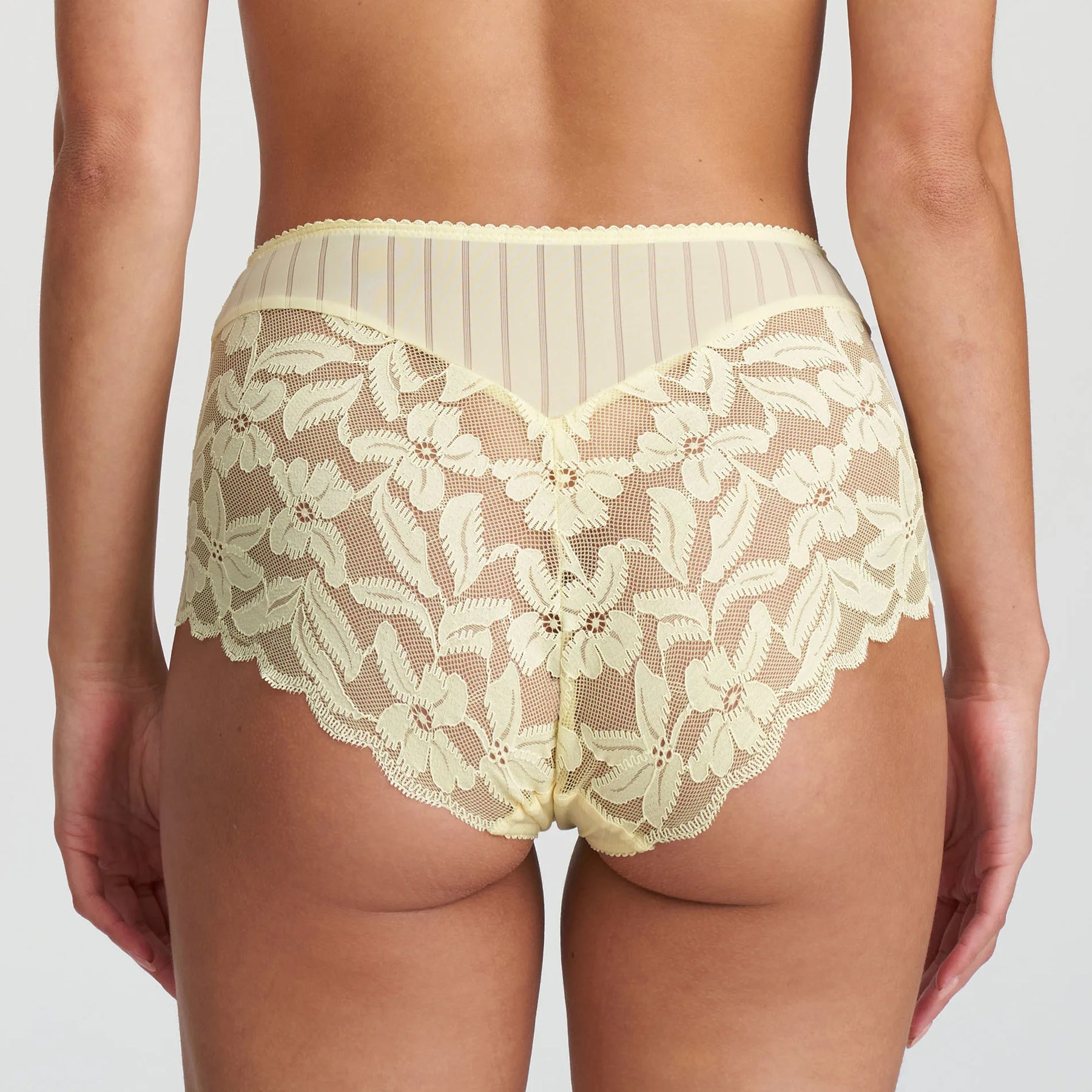 Marie Jo Ani Full Brief