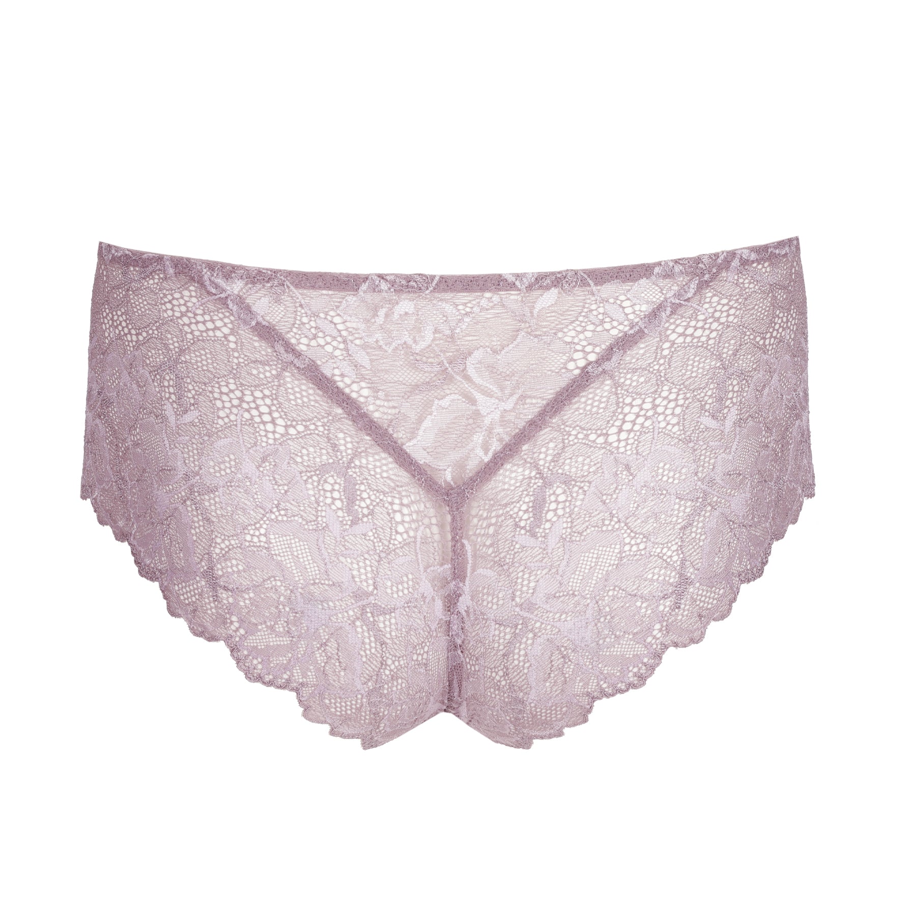 Back view of pastel orchid lace brief featuring sheer floral lace and scalloped hem