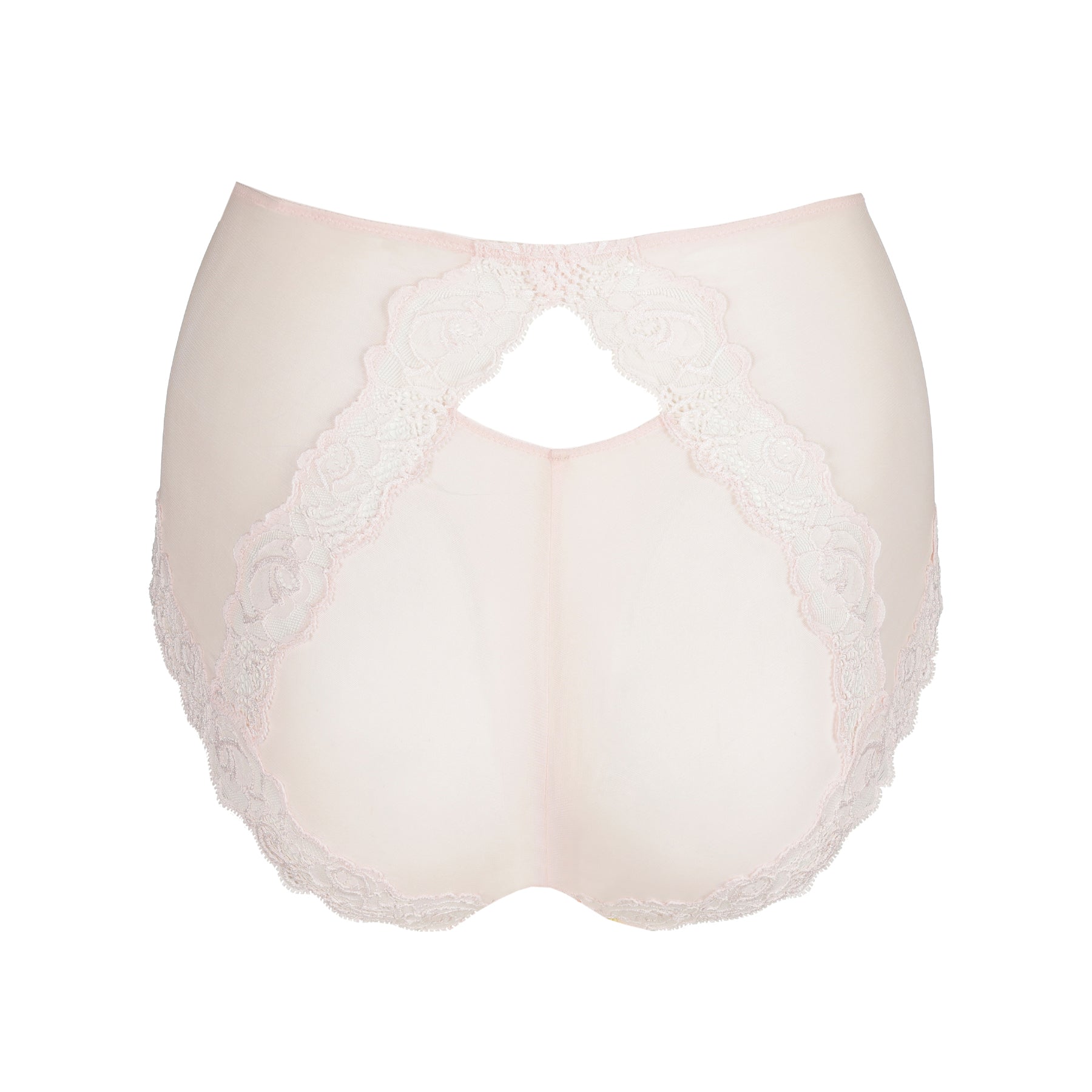 Product image of the back of the Selyna full brief, featuring a teardrop keyhole opening and rose-patterned lace that traces the leg openings.
