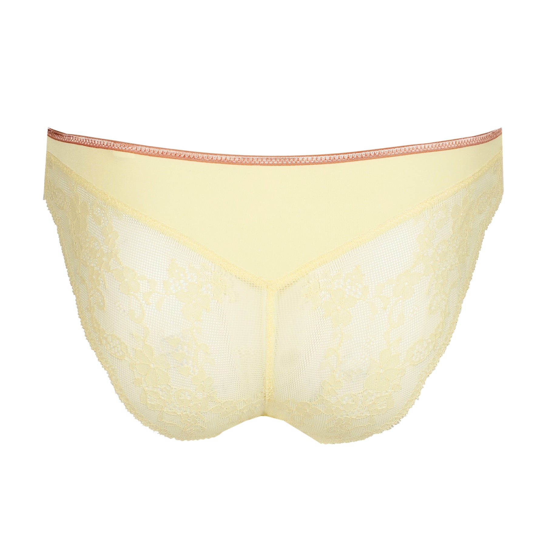 Back view of pale yellow lace bikini brief featuring delicate sheer floral mesh and scalloped edges on white background.