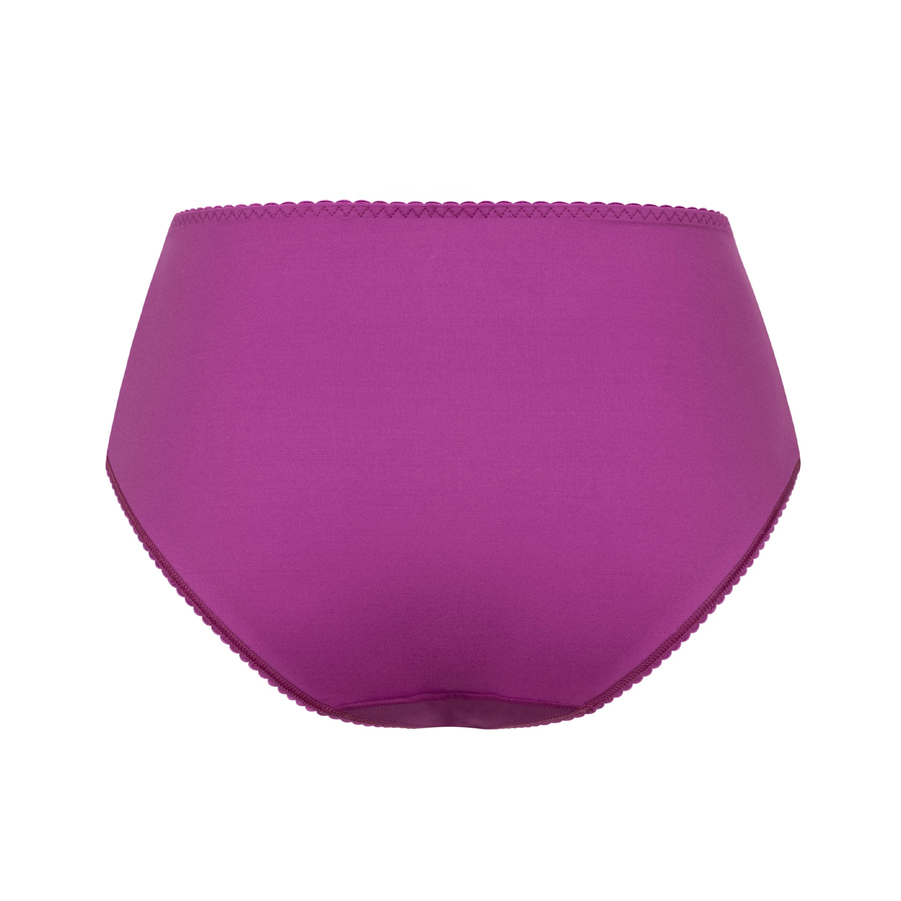 Rear view of Empreinte Dahlia purple full brief with smooth finish and scalloped trim detailing