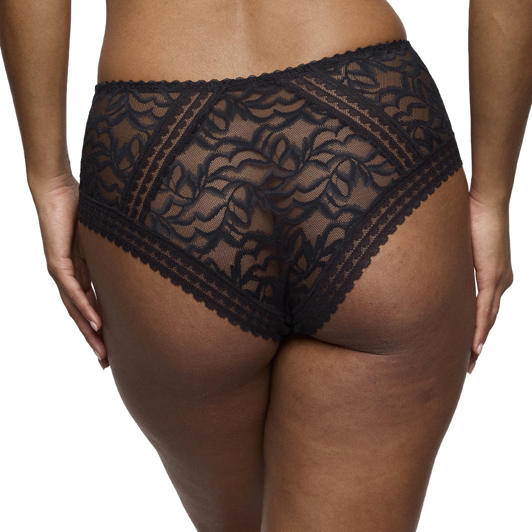 Back view of model wearing PrimaDonna Miyara lace brief in black with sheer floral lace and full rear coverage.