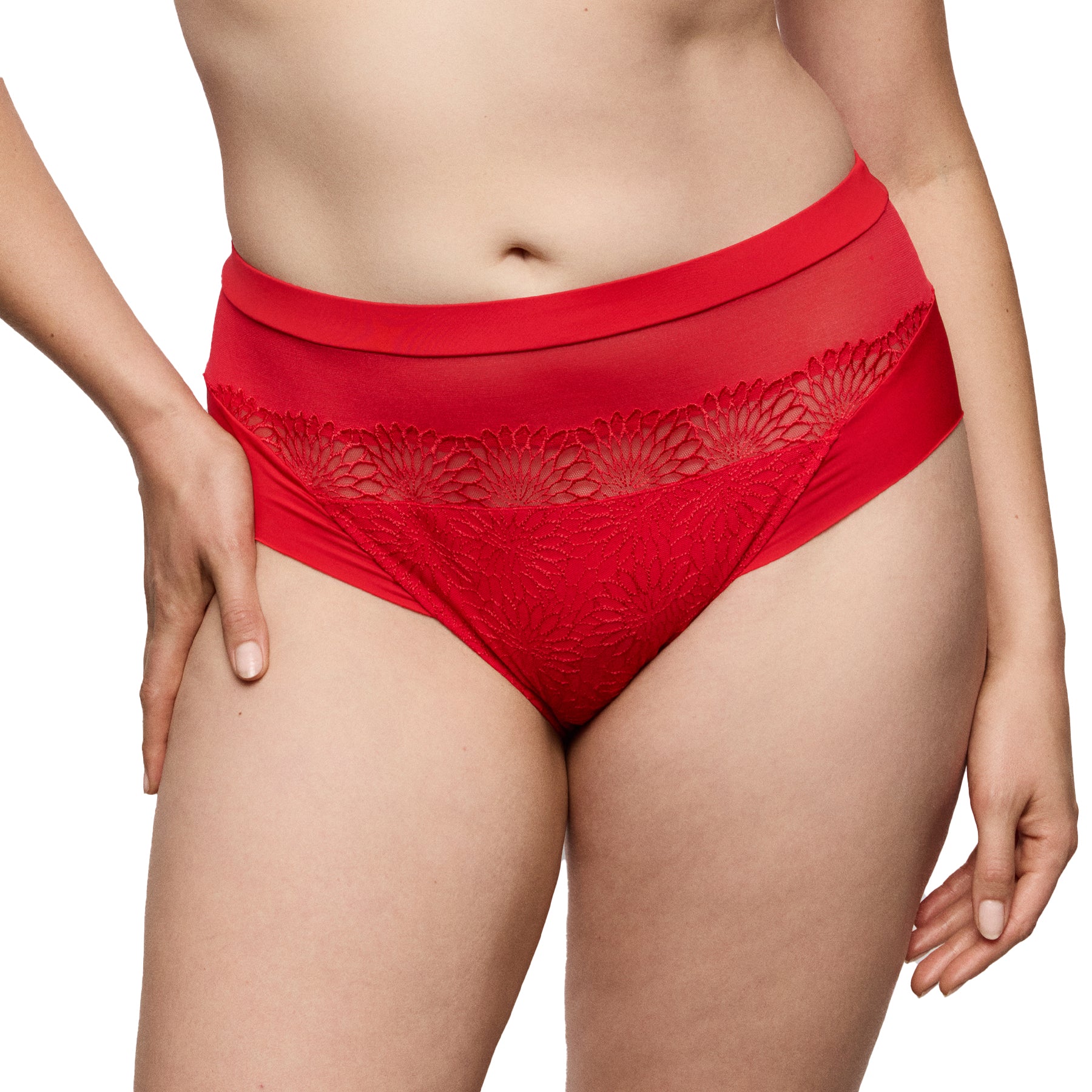 PrimaDonna Sophora Full Brief