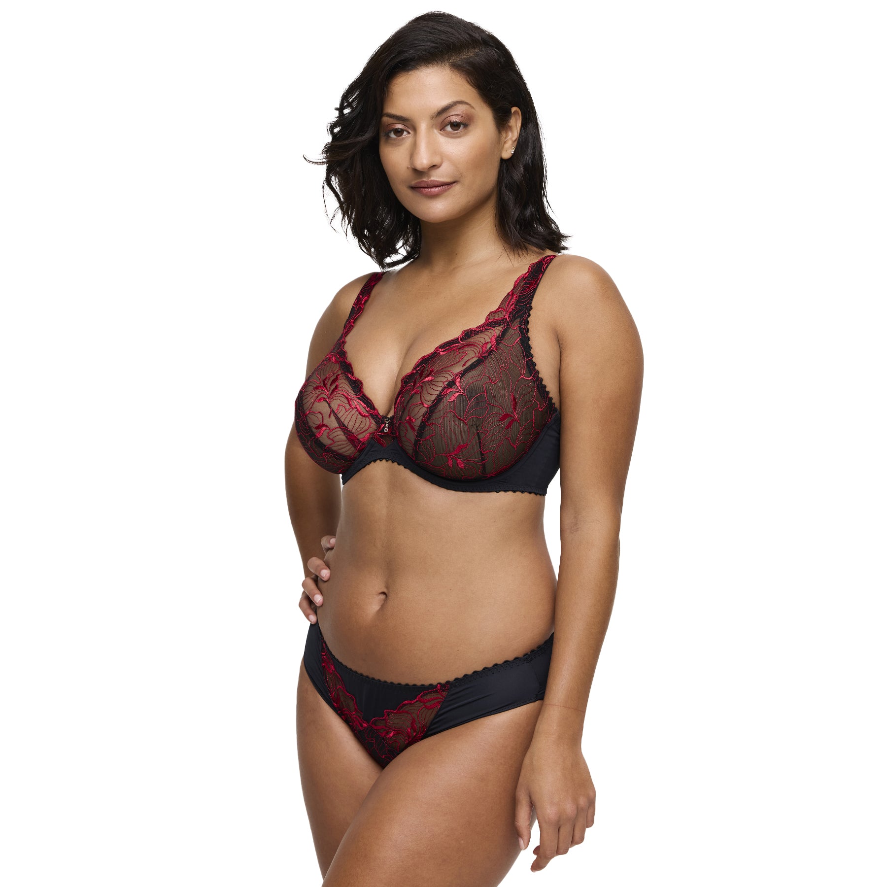 PrimaDonna Springdale Rio Briefs