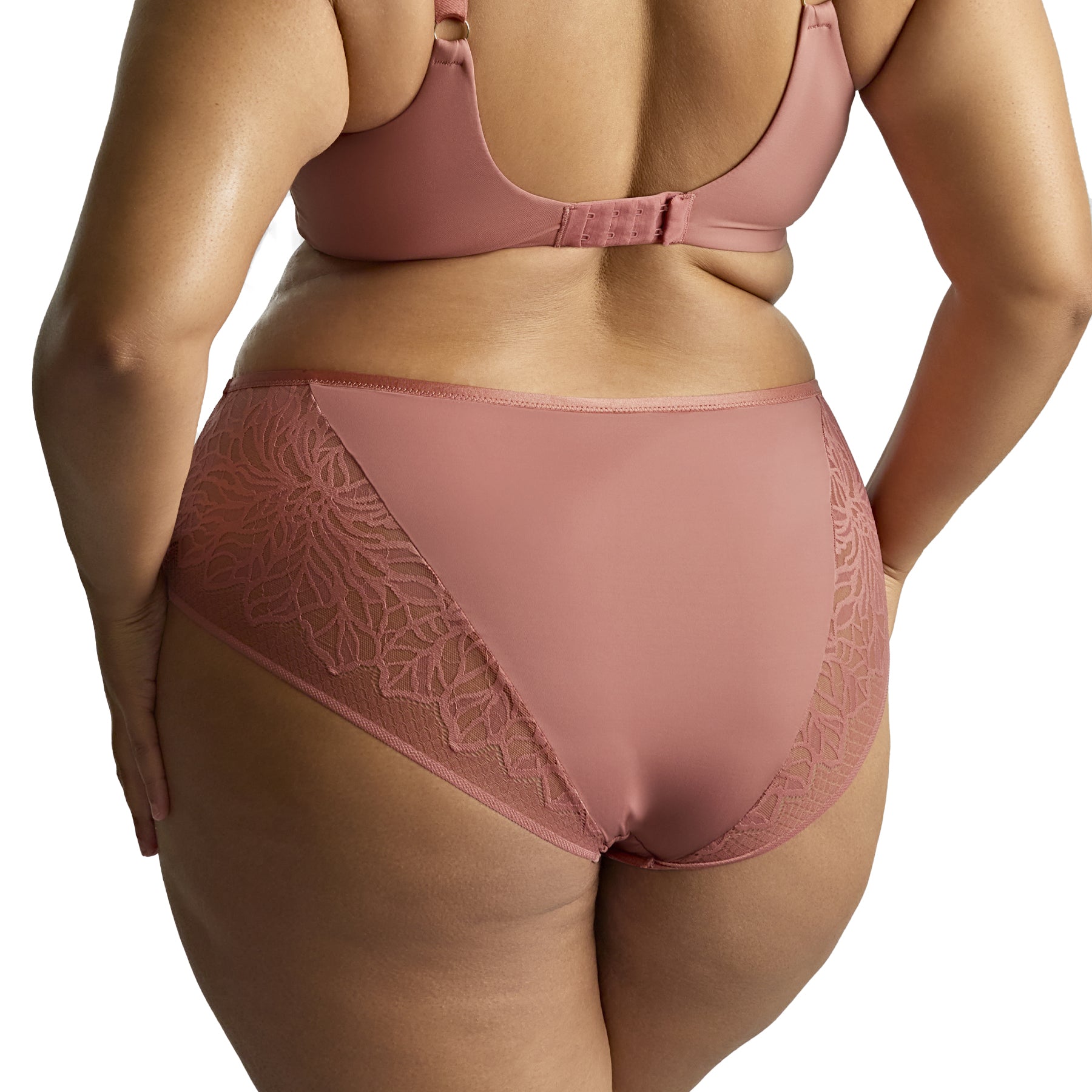 Back view of sienna rose full brief with lace accents and smooth coverage.