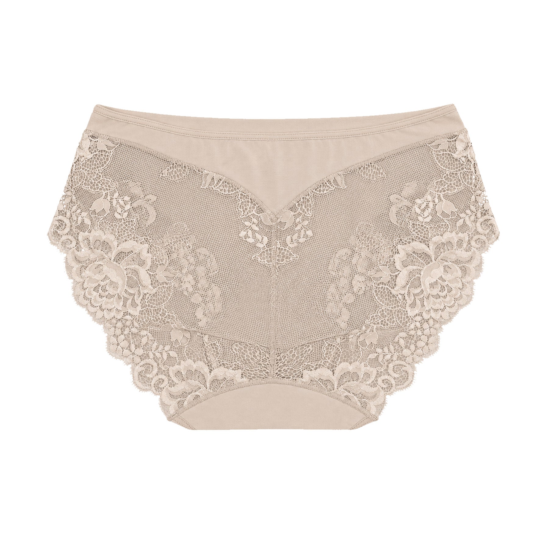 Nude lace brief featuring a smooth front panel, delicate floral lace sides, and elegant full-coverage styling.