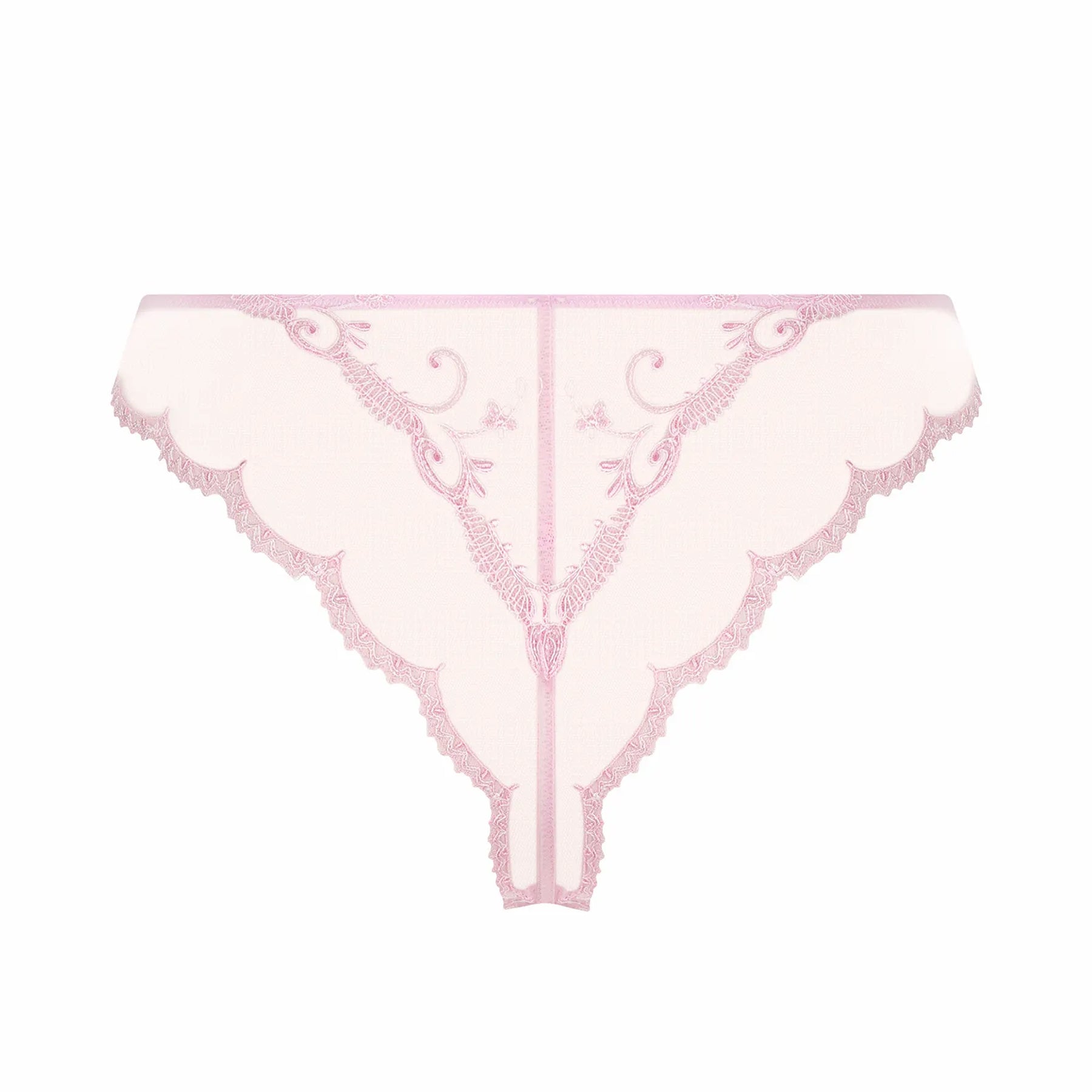 Pink sheer lace thong with delicate embroidery and scalloped trim back view
