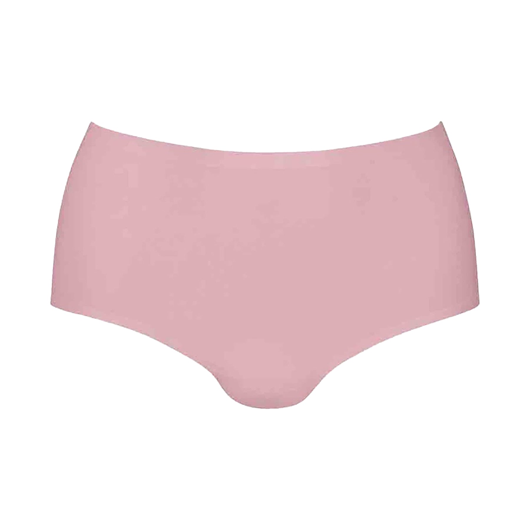 Anita Essentials Seamless High Waist Briefs