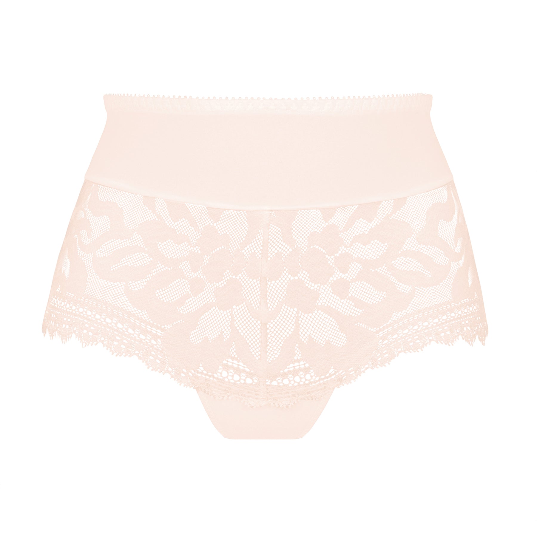 Empreinte Leia Embroidered Full Brief in Pink Paradise - high-waisted lace front with scalloped trim and floral detailing