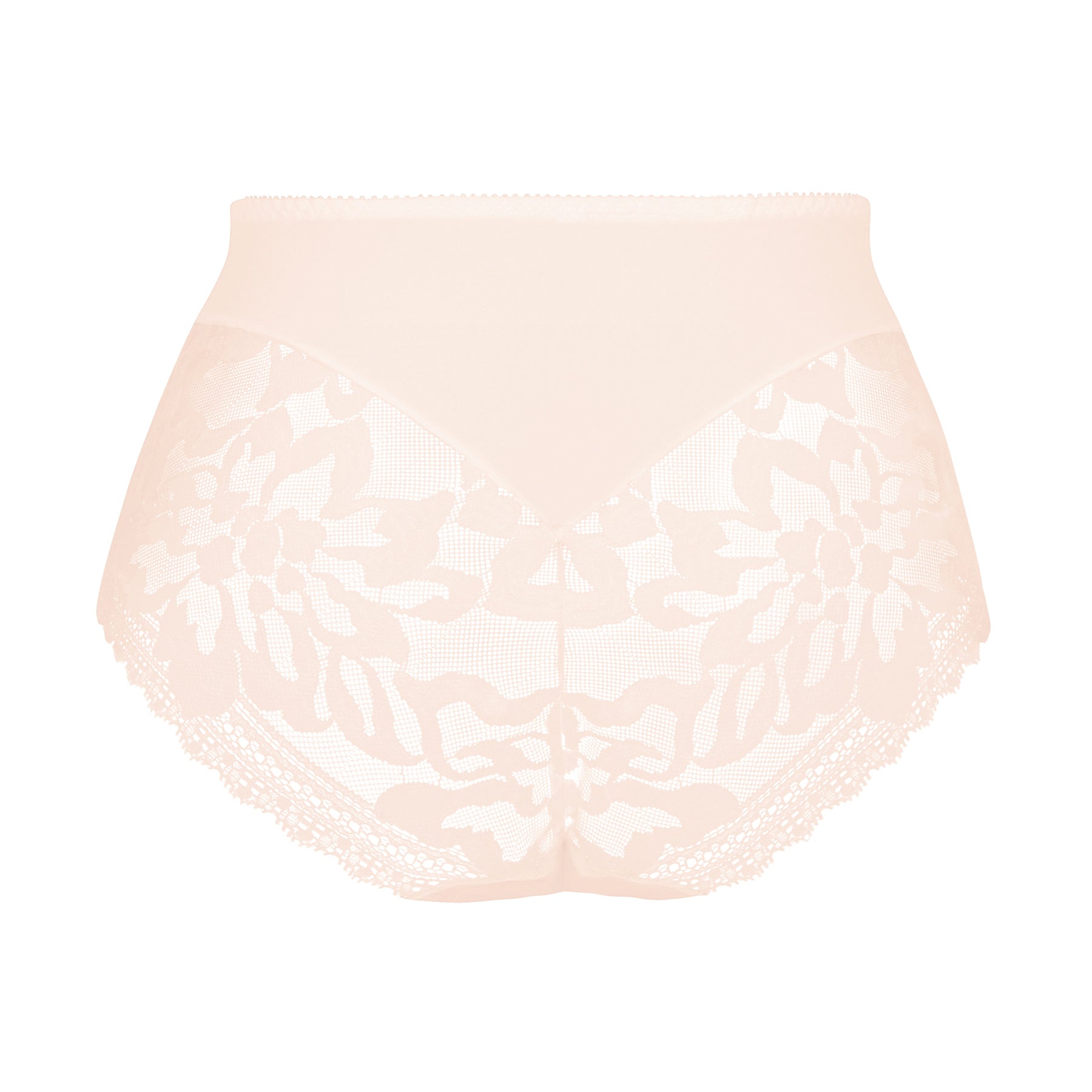 Empreinte Leia Embroidered Full Brief in Pink Paradise - back view showing smooth microfiber panel with floral lace border