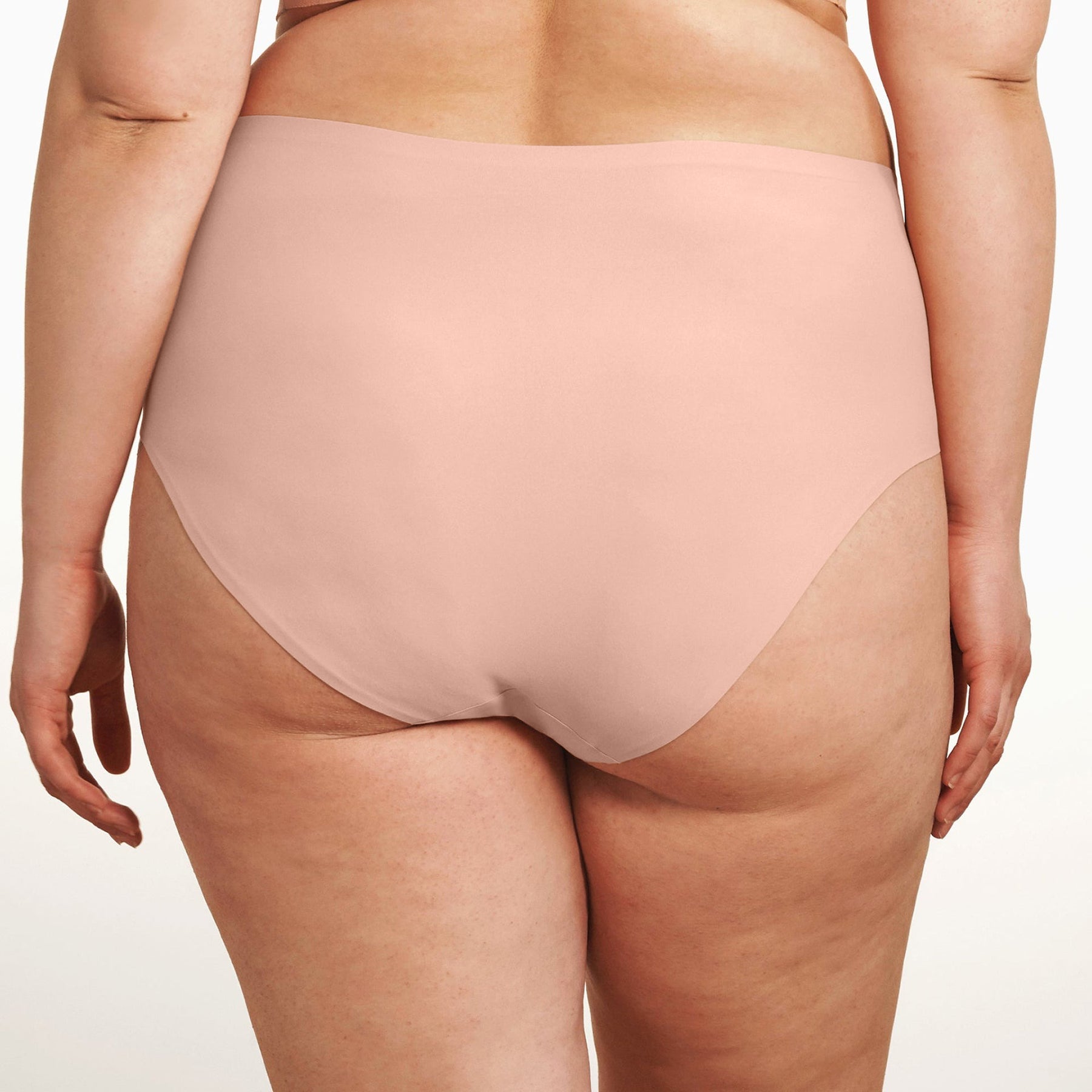 Back view of Evelyn & Bobbie Himalayan Salt high waist smoothing full coverage underwear on model