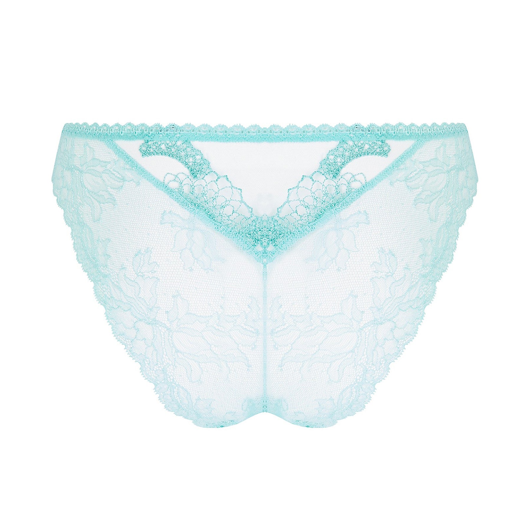 Tulle mesh Italian panty in aqua with embroidered tulle detail. Rear view without model.