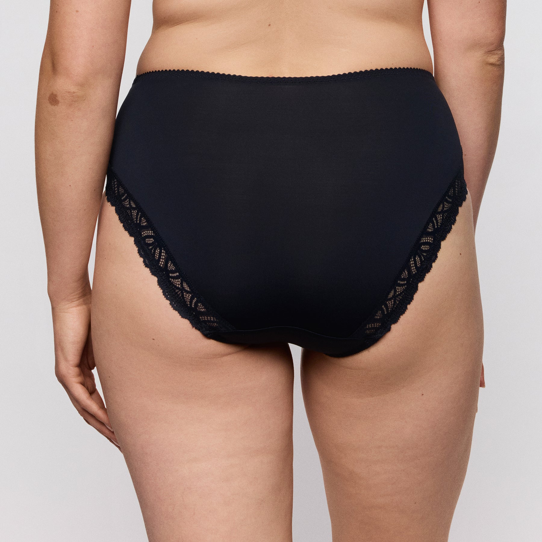 Back view of high-waisted PrimaDonna Salerno Full Brief in Midnight