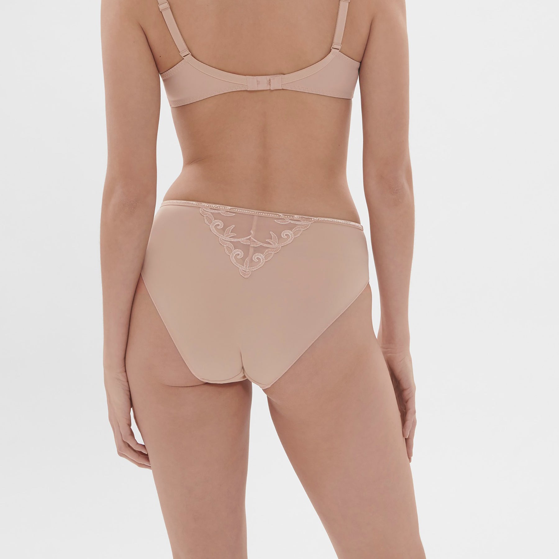 Simone Perele Andora Retro Brief style 131777 in Peau Rosee Nude 739, back worn view featuring delicate sheer embroidery.