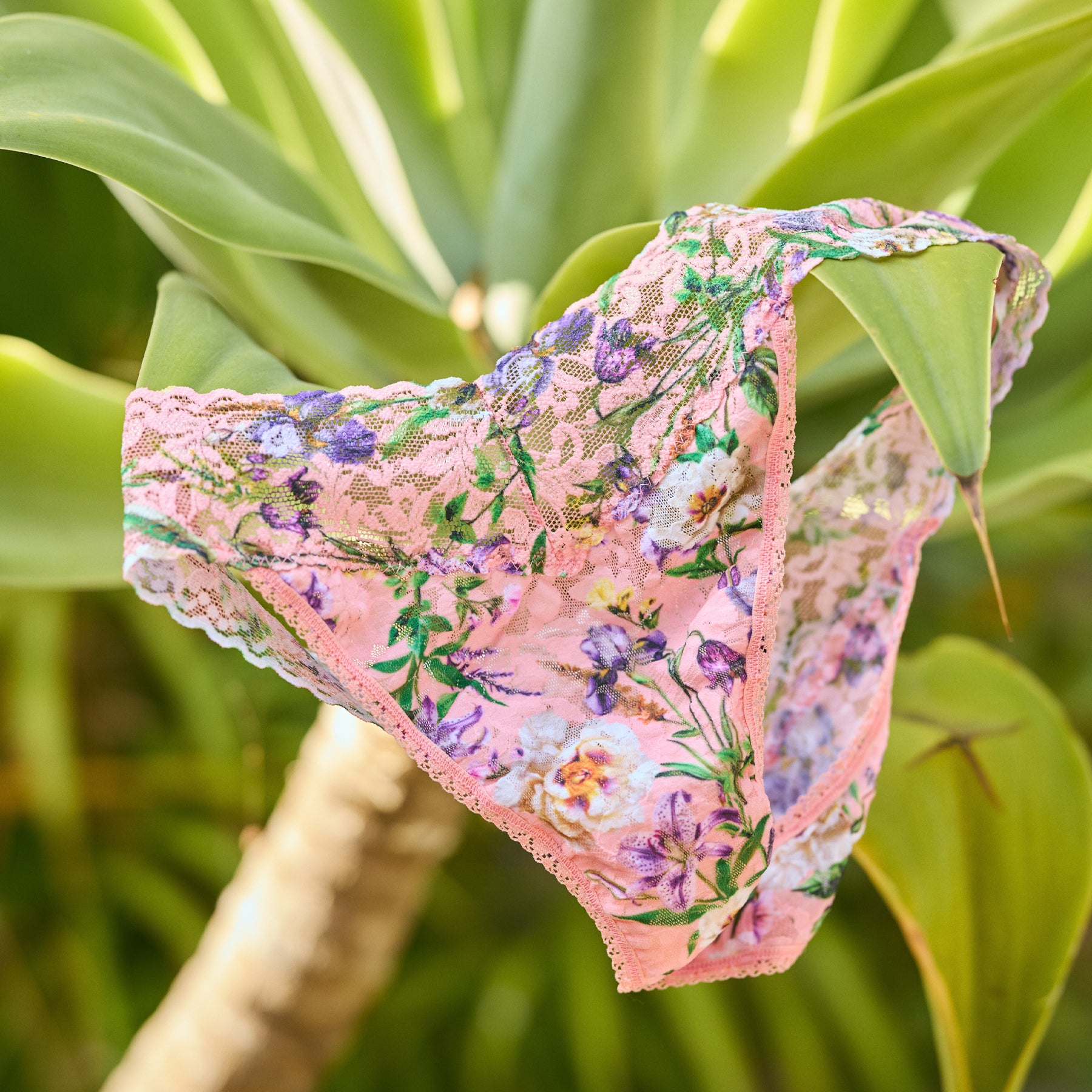 Pink floral lace thong underwear draped over green tropical plant leaves, showing lace and floral print.