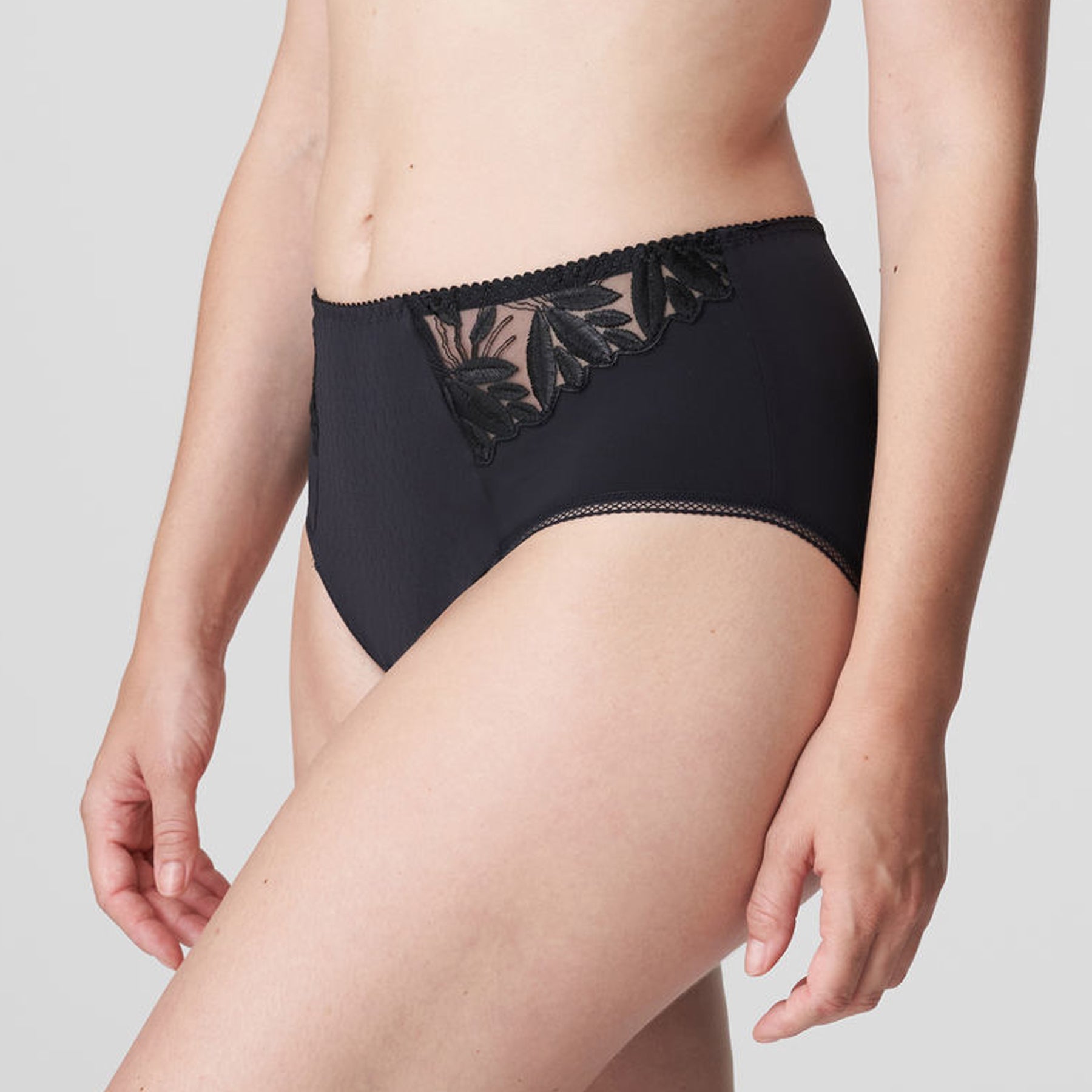 PrimaDonna Orlando Full Brief