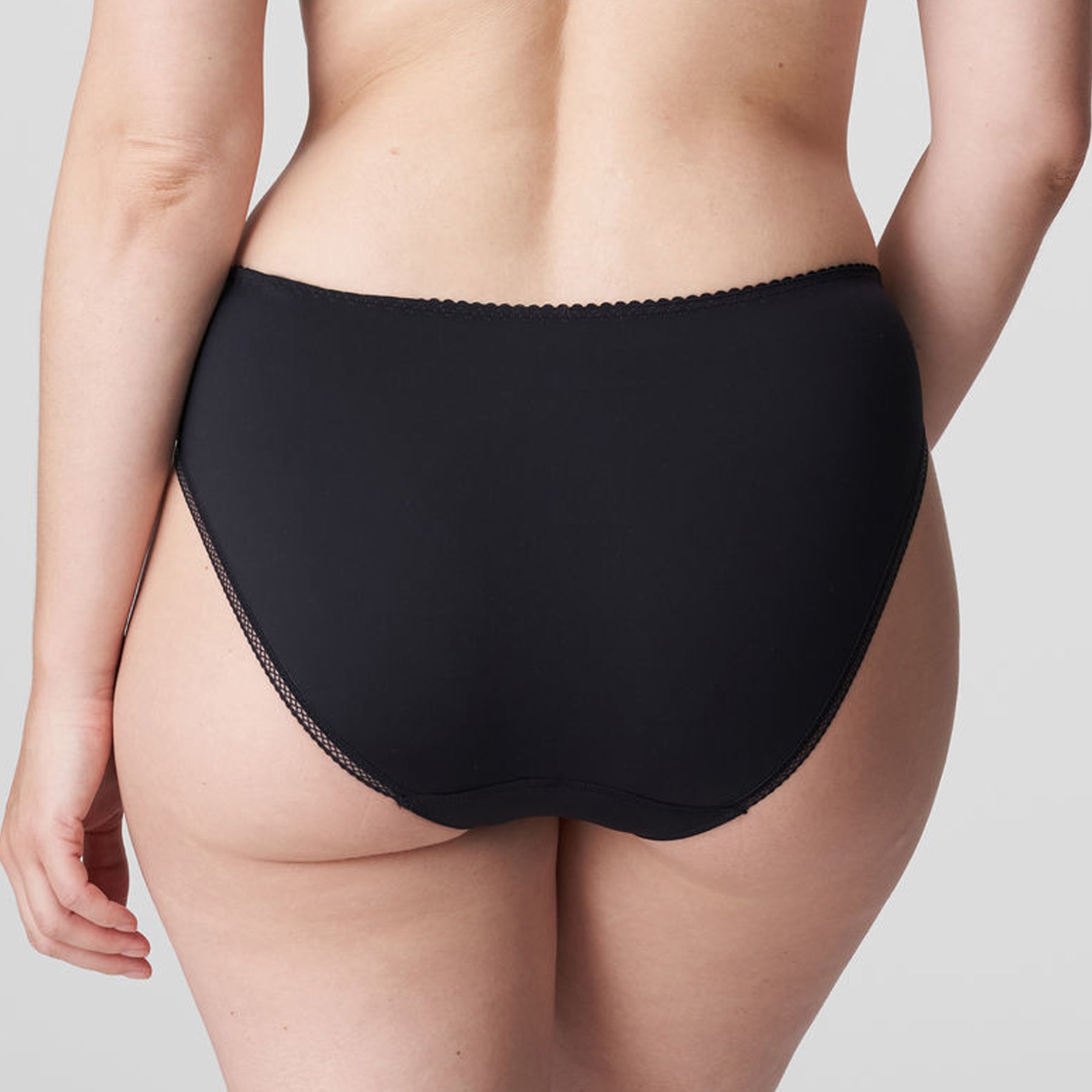 PrimaDonna Orlando Full Brief