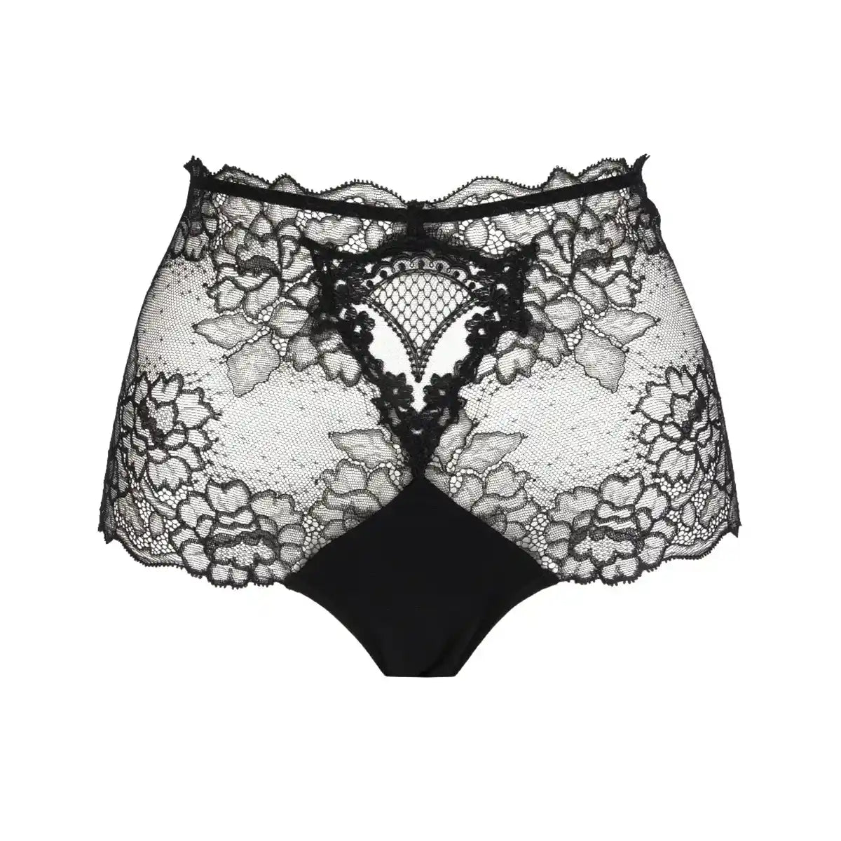 Lise Charmel Sublime en Dentelle Lace Retro Brief