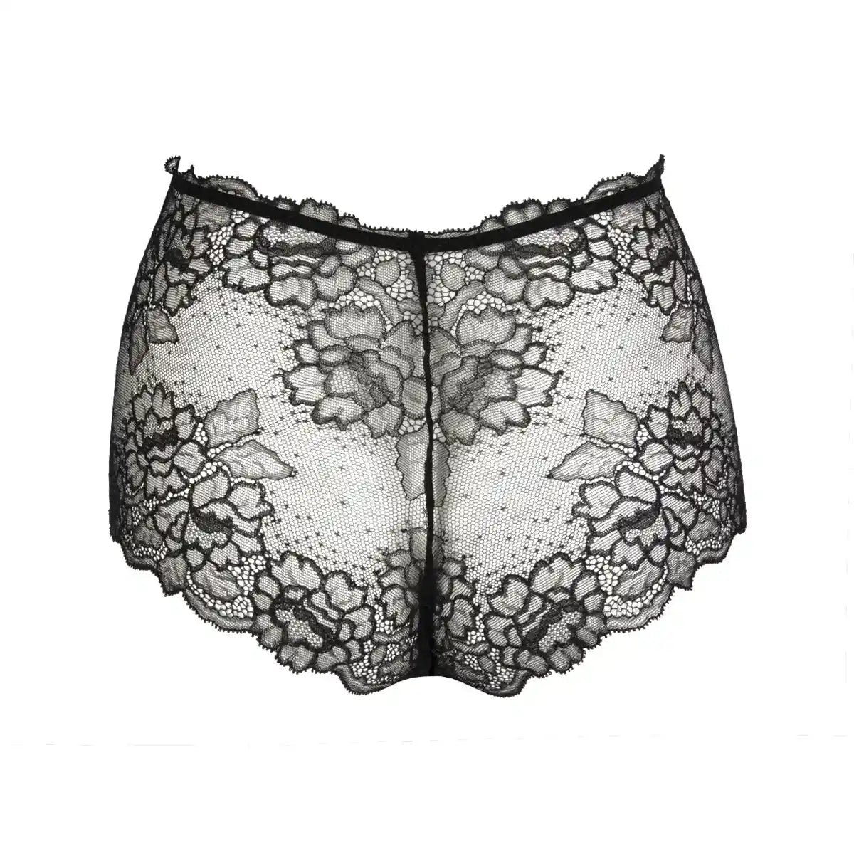 Lise Charmel Sublime en Dentelle Lace Retro Brief