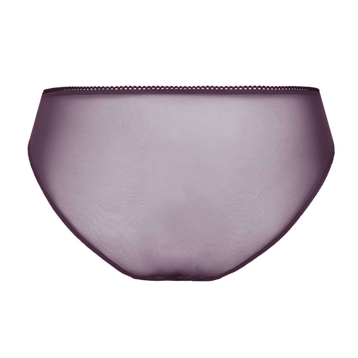 Back view of amethyst purple sheer panties with smooth mesh fabric and delicate trim.