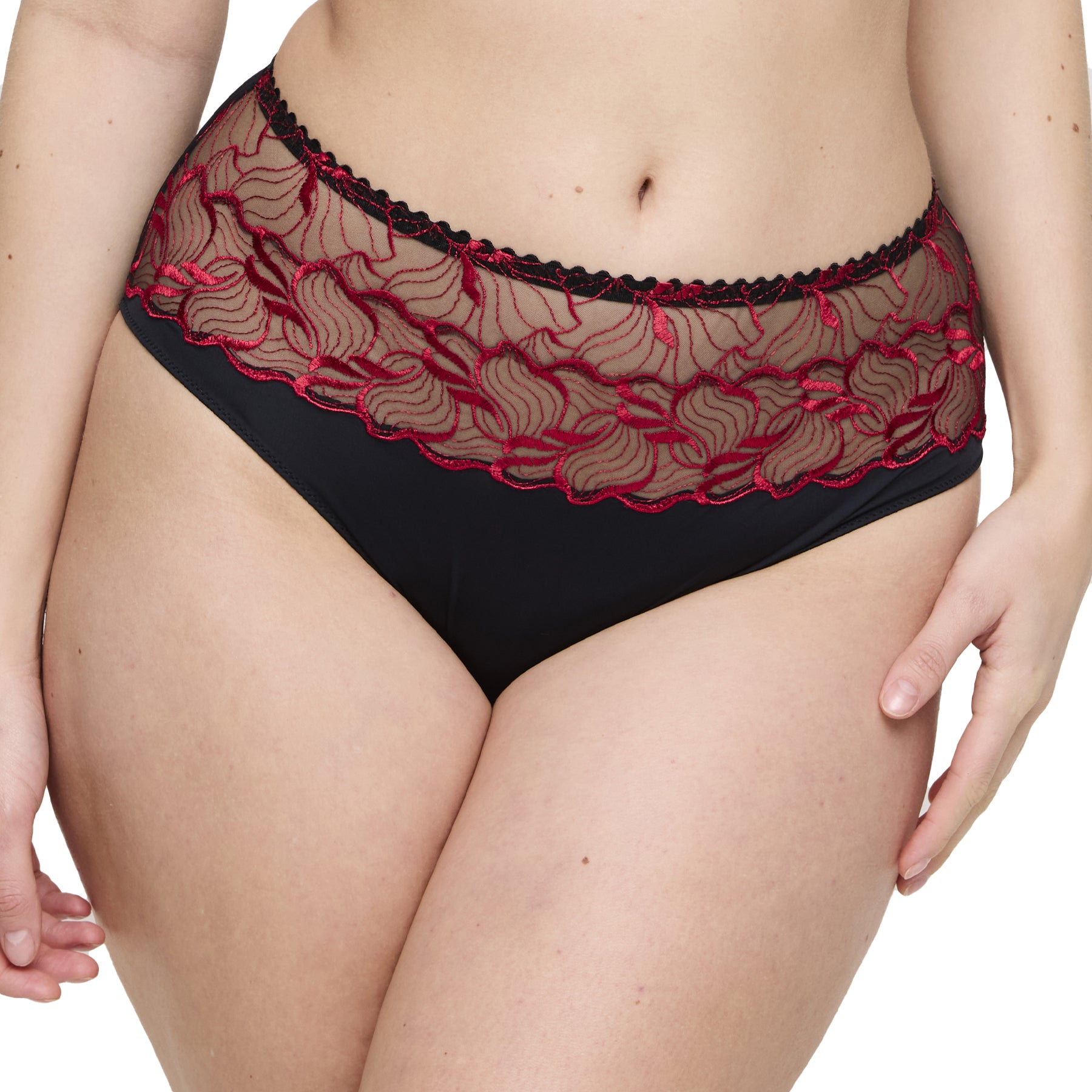 Close-up of high-waist lace brief showing intricate red embroidery over sheer mesh panel.