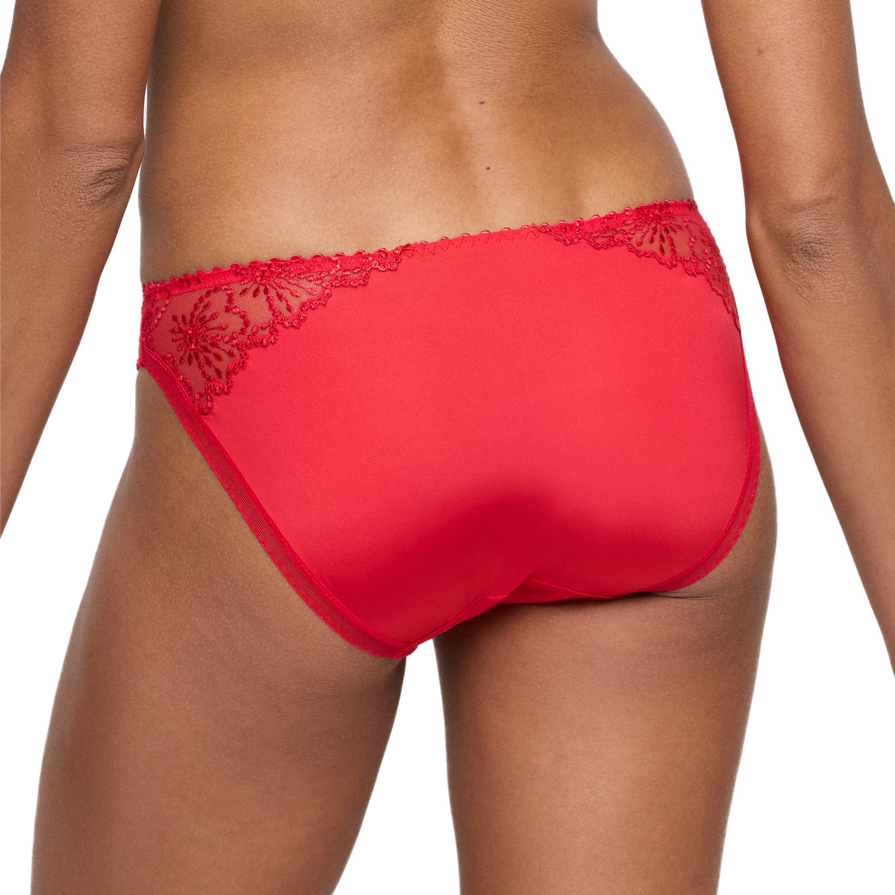 Back view of model wearing red lace-trimmed bikini panty with sheer embroidered corners.