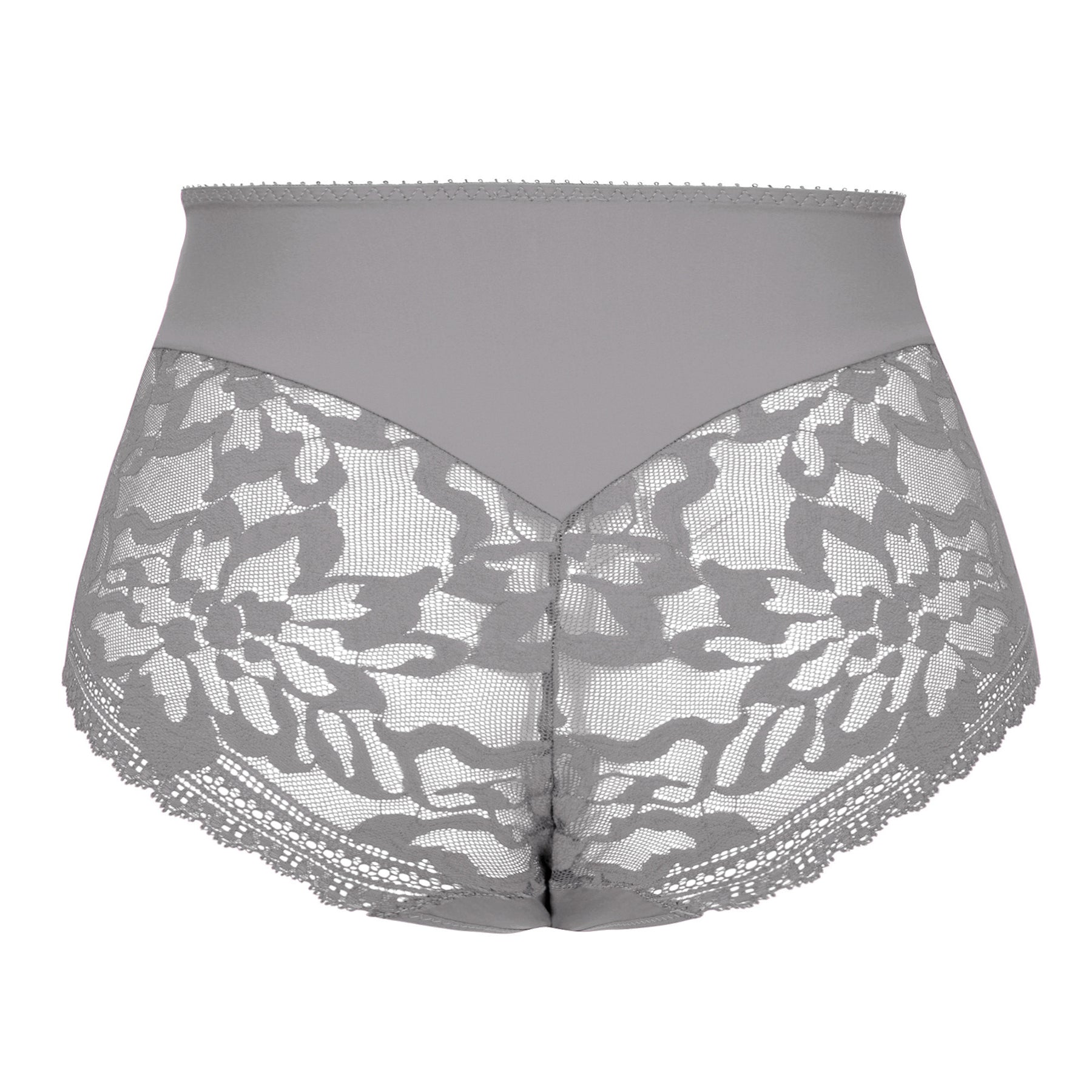 Flat lay back view of the Empreinte Leia full brief in Platinum featuring elegant floral lace, sheer mesh back, a smooth high-rise waistband, full rear coverage, and refined French lingerie detailing.