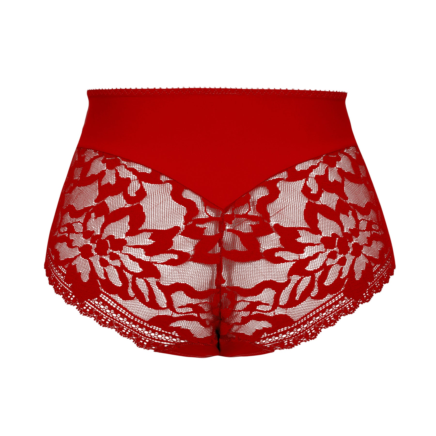 Red lace high-waist brief back view with sheer mesh and scalloped trim