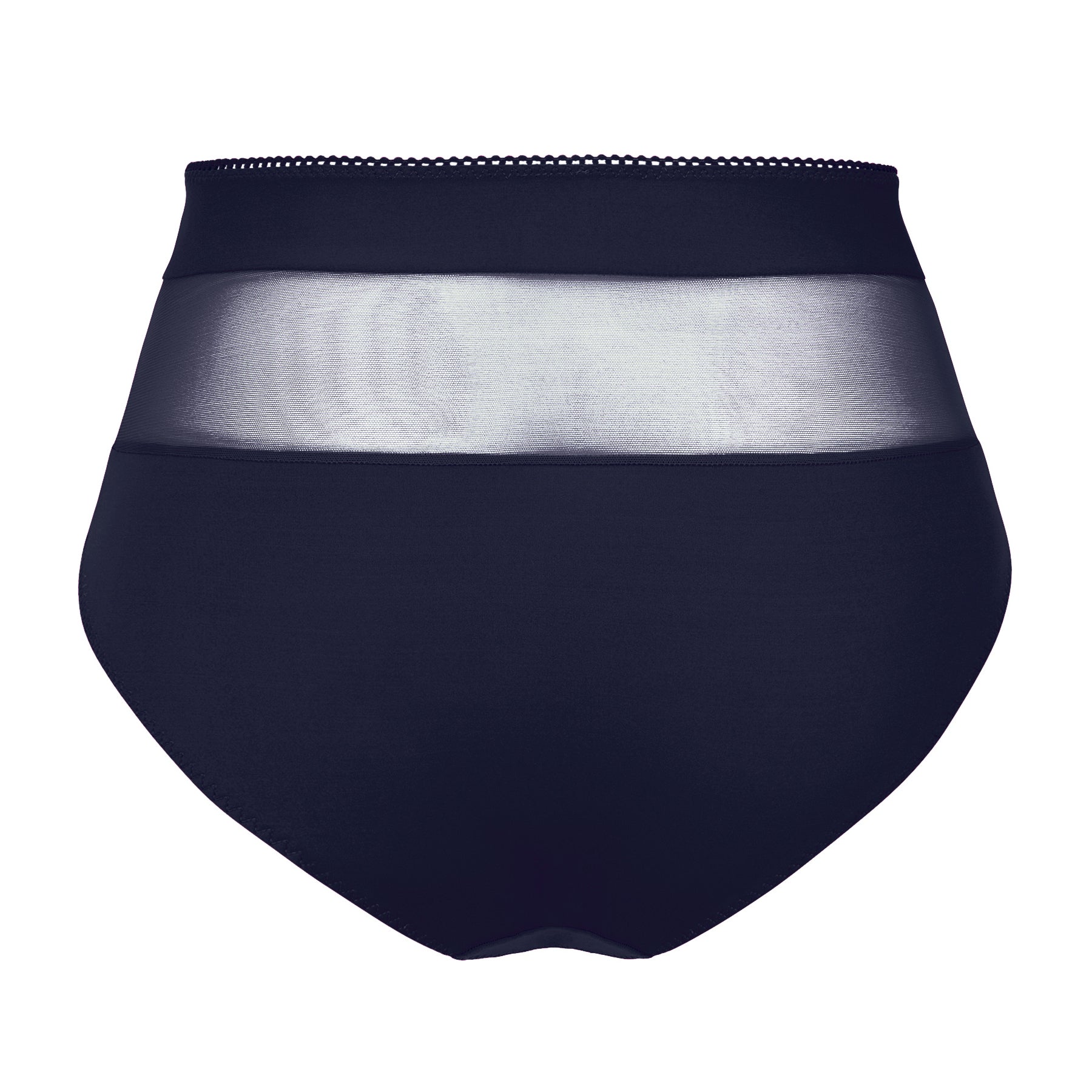 Back view of Empreinte Tess full brief in Marine with smooth opaque fabric and sheer tulle waistband detail