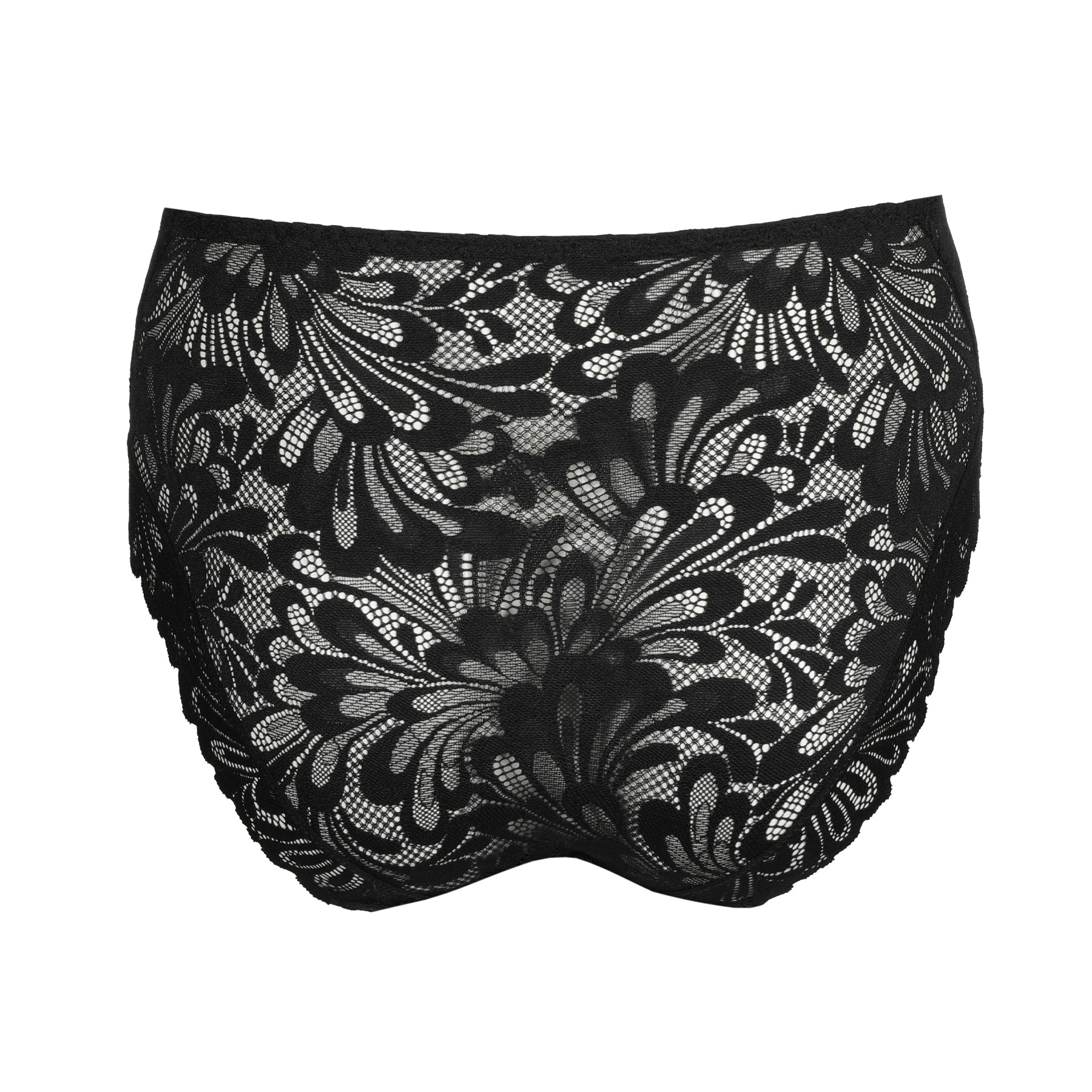 Black lace high-waist brief with sheer floral lace, back view.