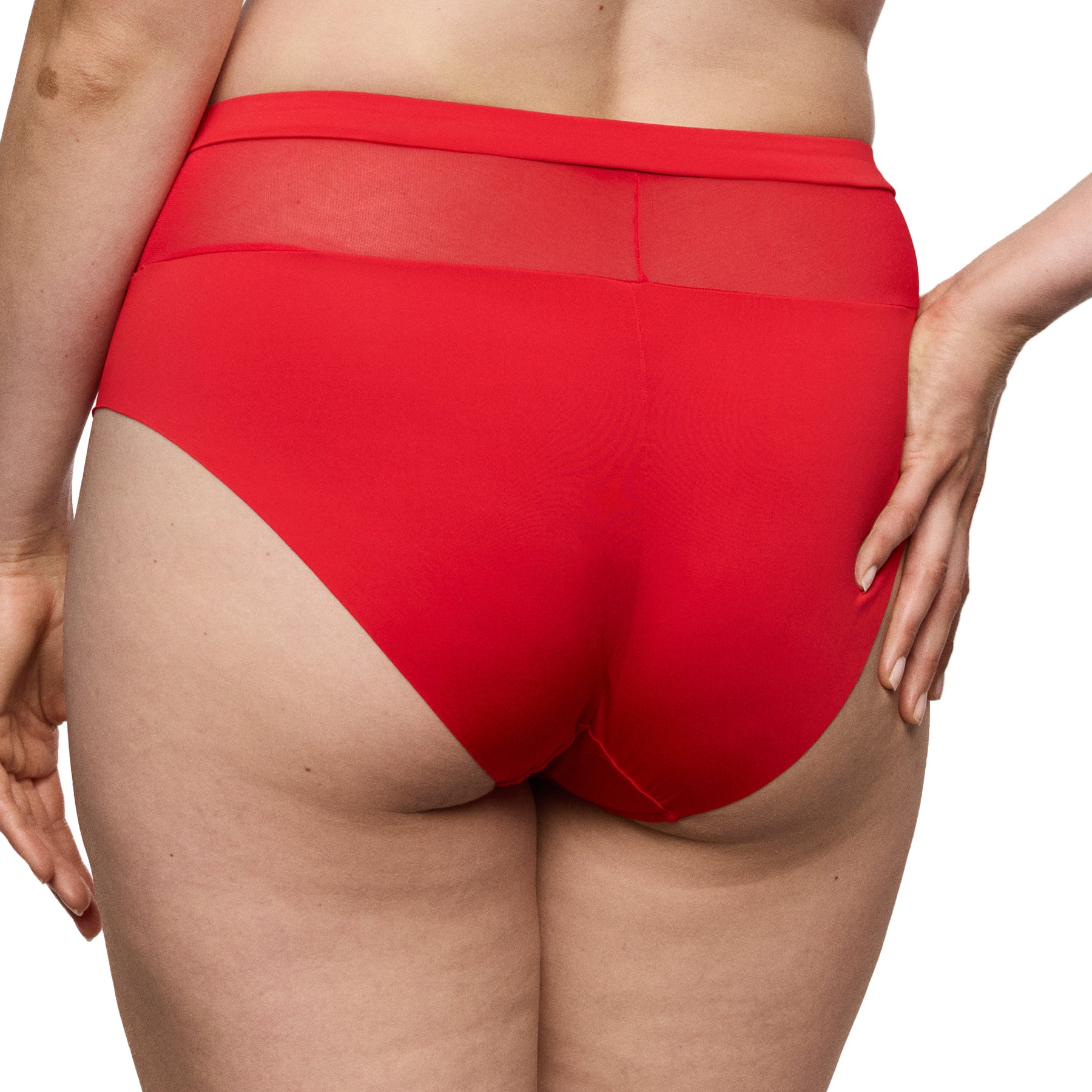 PrimaDonna Sophora Full Brief