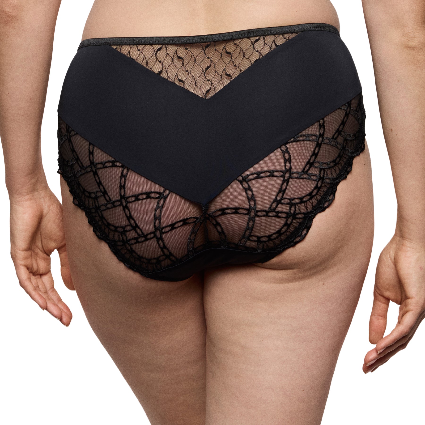 PrimaDonna black full brief showcasing sheer lace back and comfortable coverage, back view
