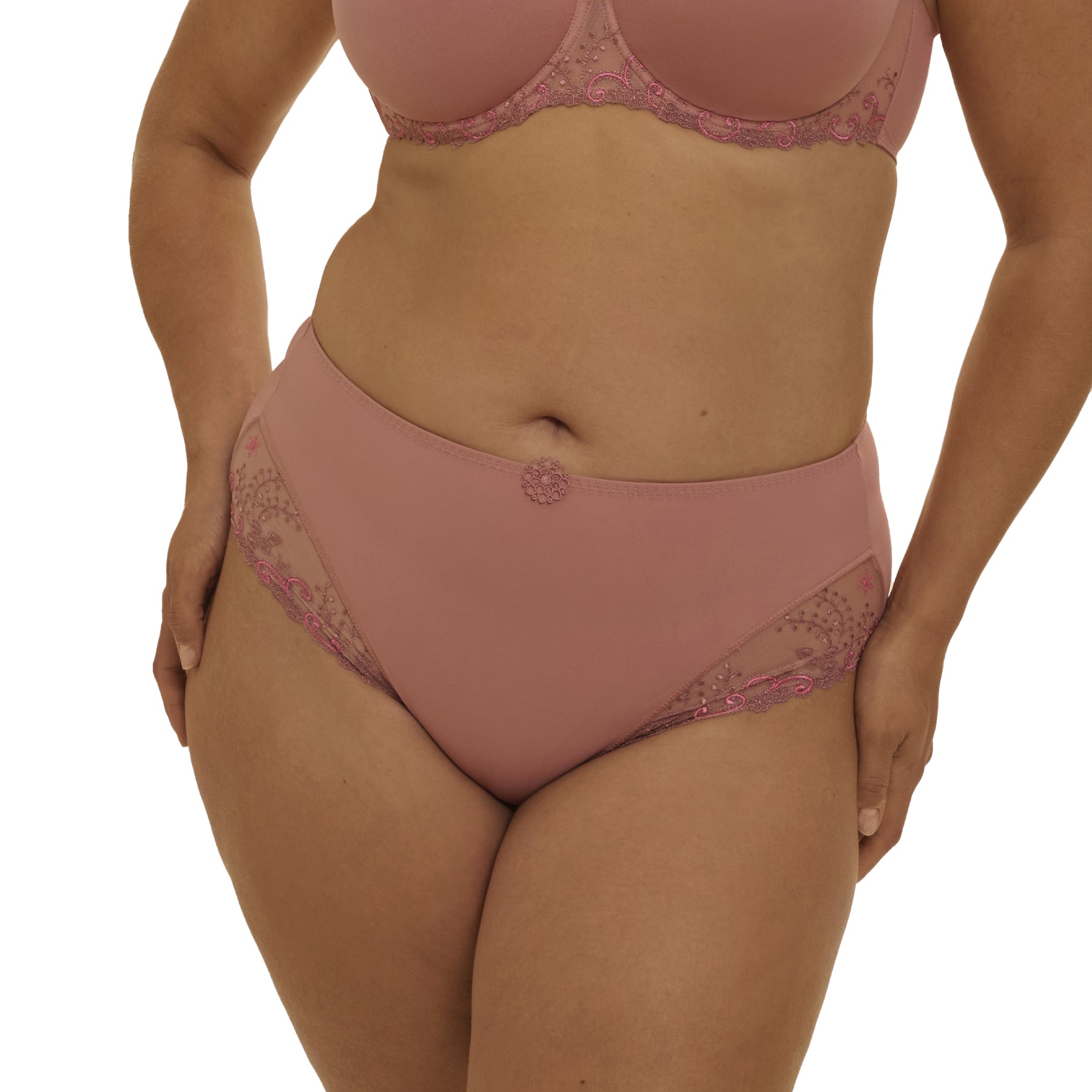 Smokey pink high-rise brief on model with smooth fabric front and delicate embroidered mesh sides.
