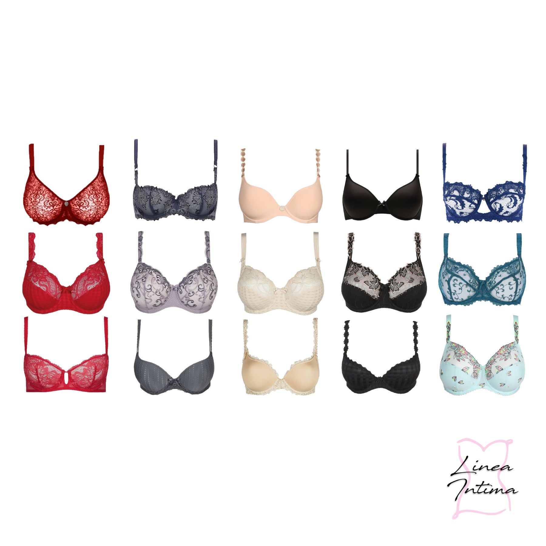 Set of different types of women's bras. Line - Stock