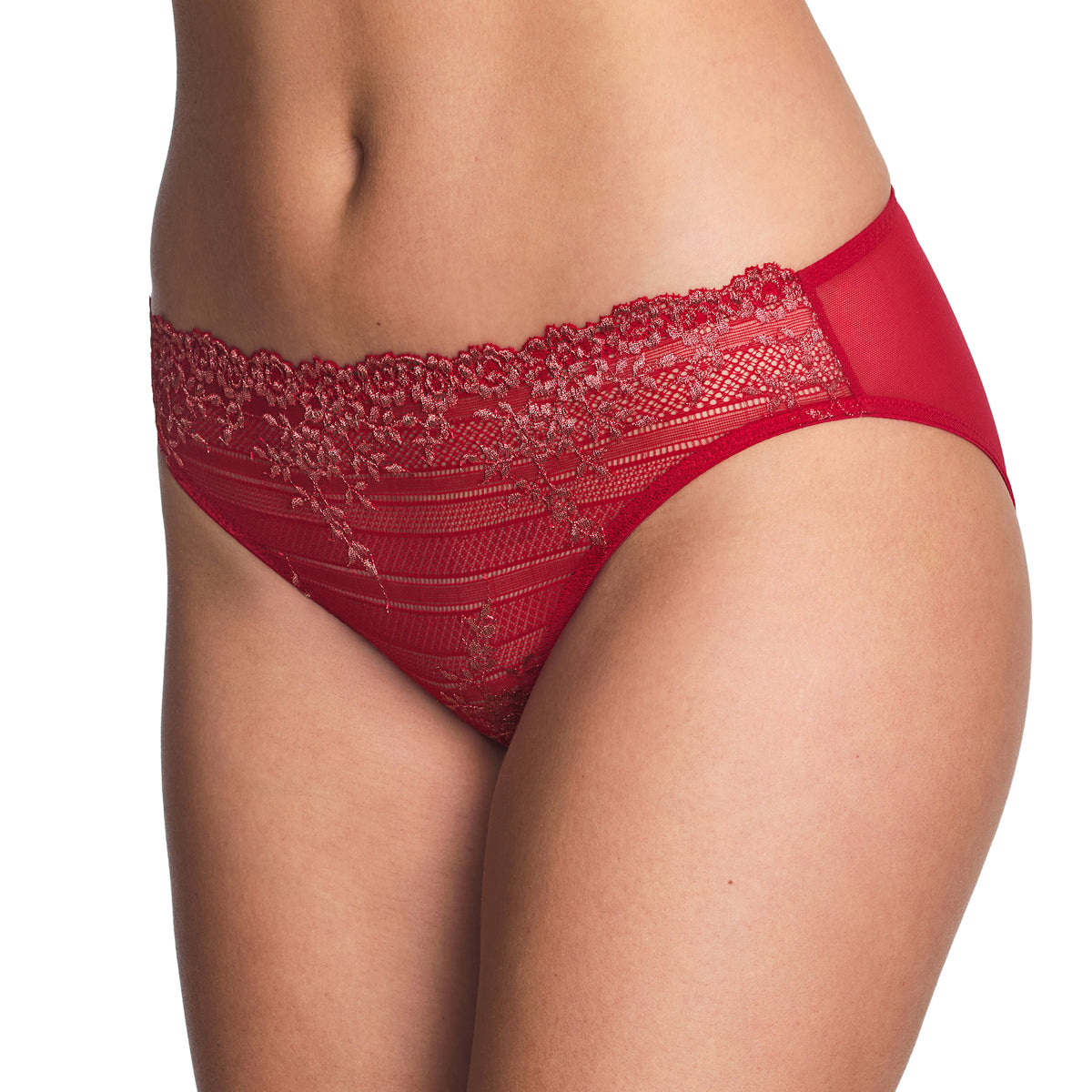 Red lace bikini brief featuring floral embroidery, sheer striped detailing and a smooth mesh back.