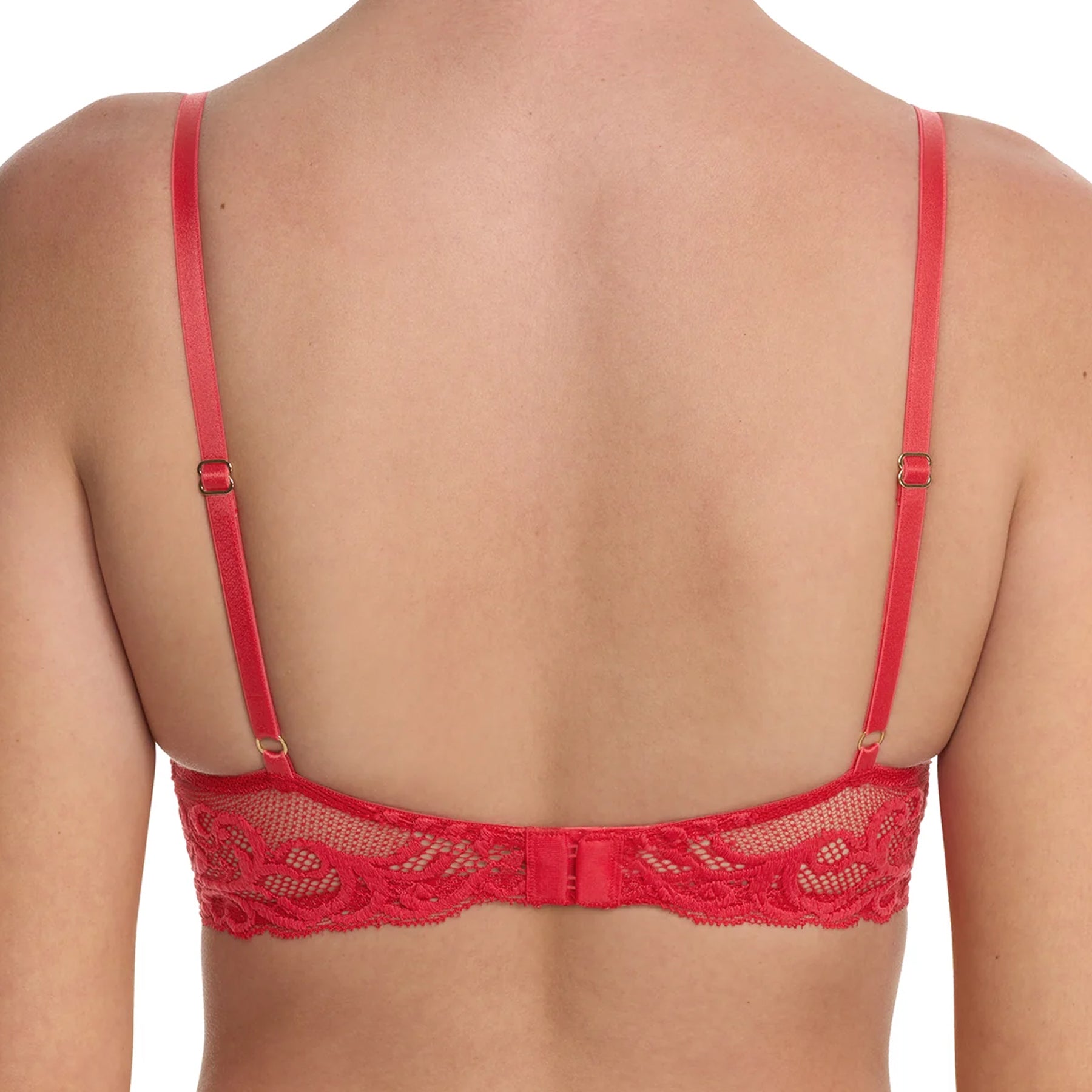 Red lace bra on a white background