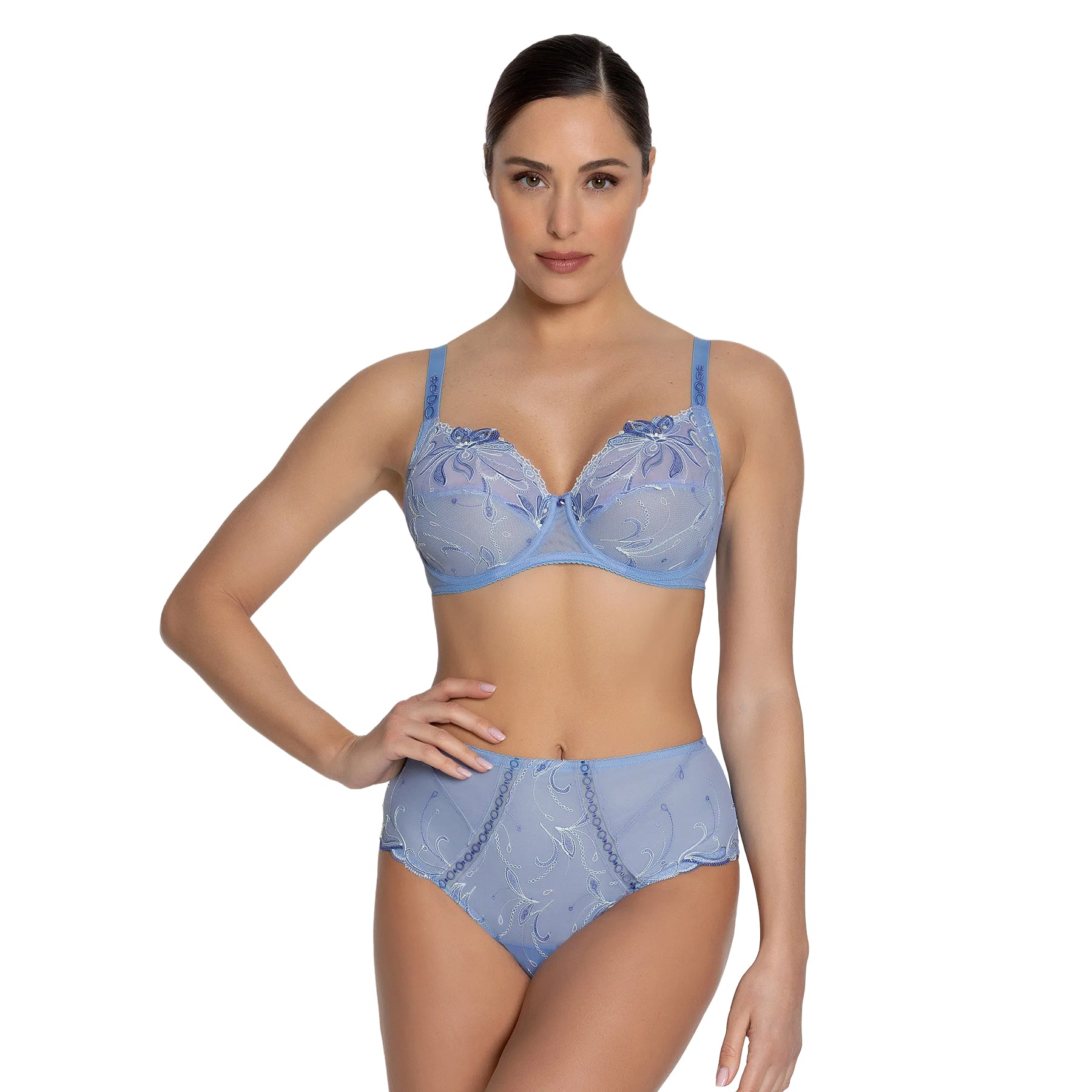 Model wearing a coordinated light blue embroidered bra and full brief lingerie set with elegant floral embroidery.