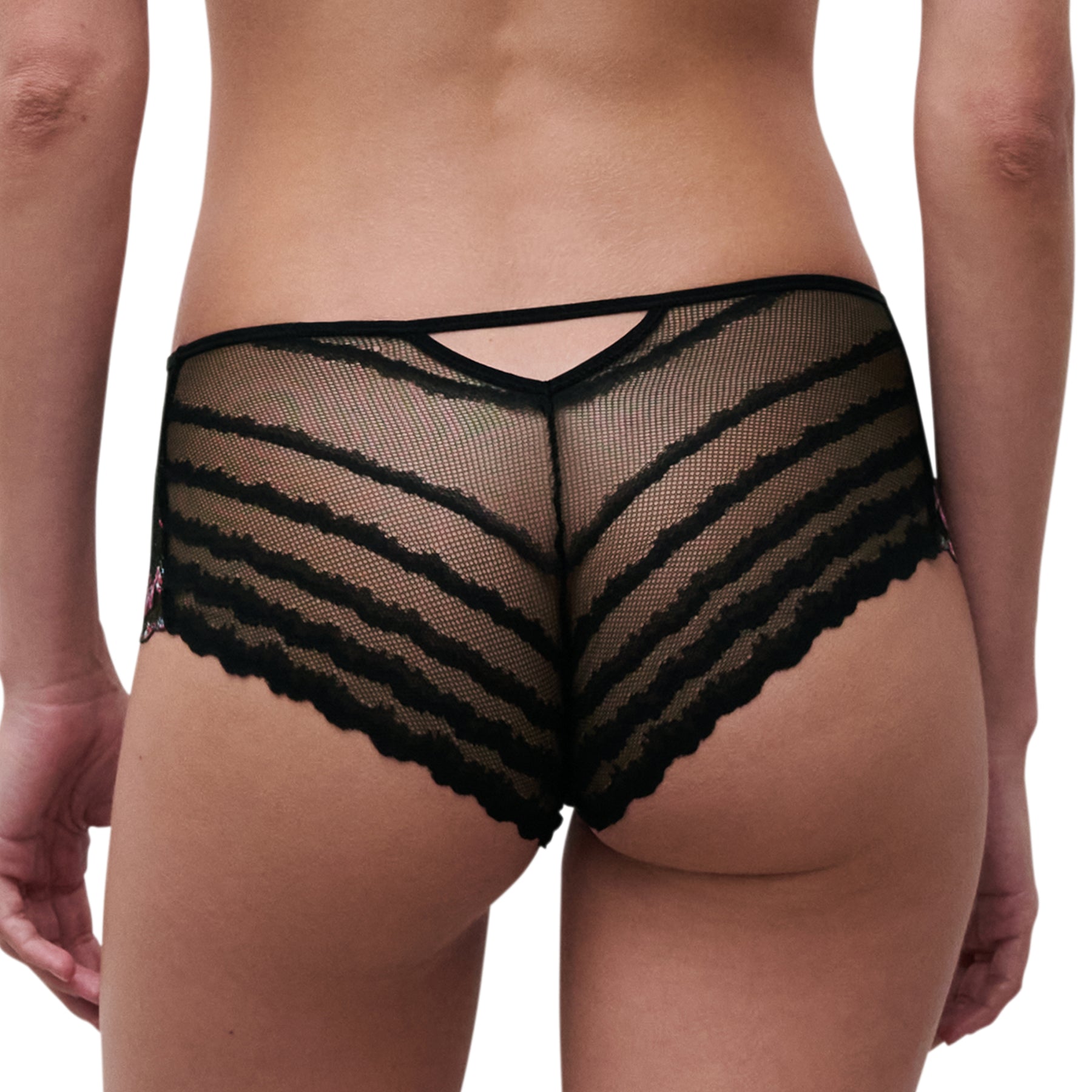 Back view of black embroidered lace briefs featuring sheer striped lace with scalloped edges.