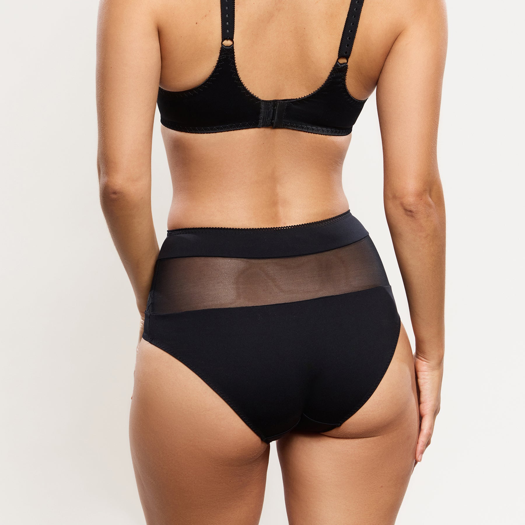Back view of Empreinte Tess Embroidered Full Brief in black with sheer mesh panel
