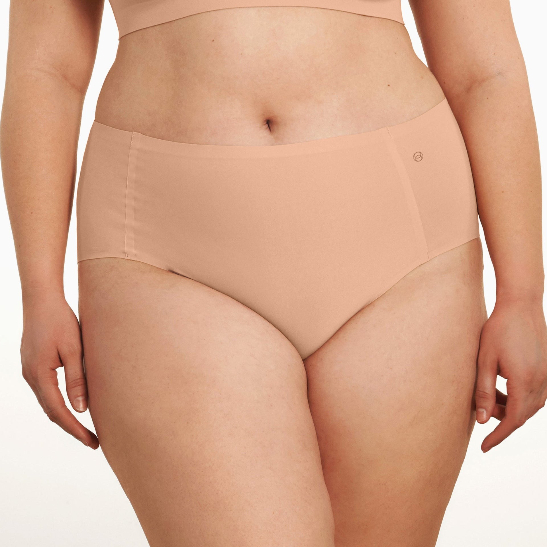 Evelyn & Bobbie high waist seamless retro full brief underwear in Himalayan Salt – front view on model