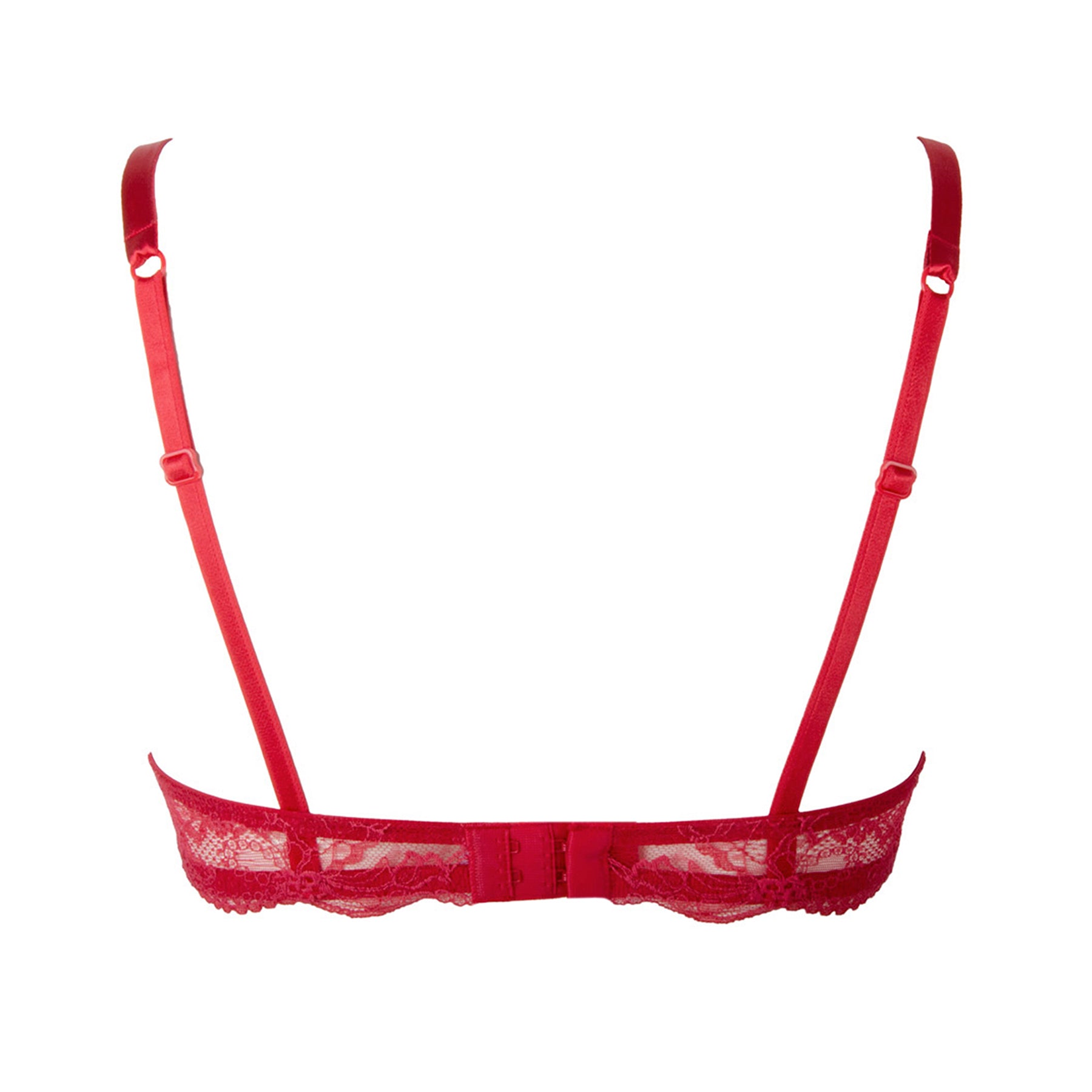 Lise Charmel soir de venise horizontal seam Calais lace demi cup bra in red rouge venise. Rear view without model.