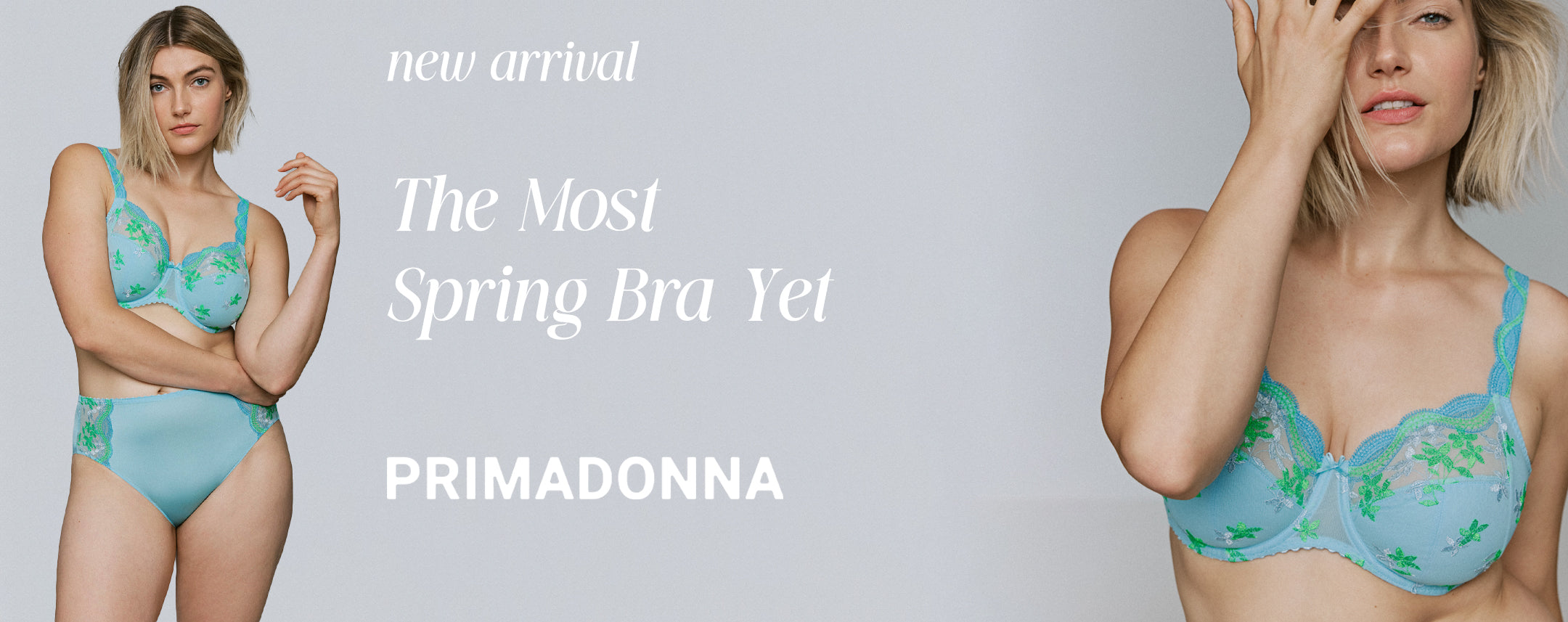 Linea Intima 下着専門誌 世界のランジェリー Linea Intima | Bra Fittings, Luxury Lingerie, Toronto
