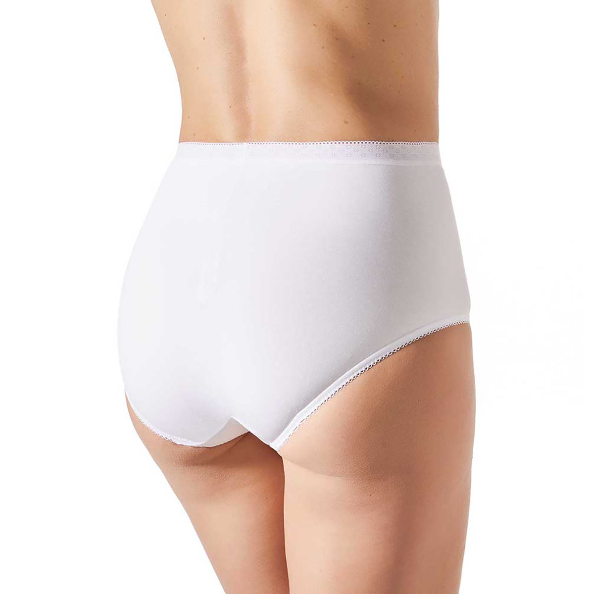 Westren Beauty Plus Size Cotton Panties Pk-3